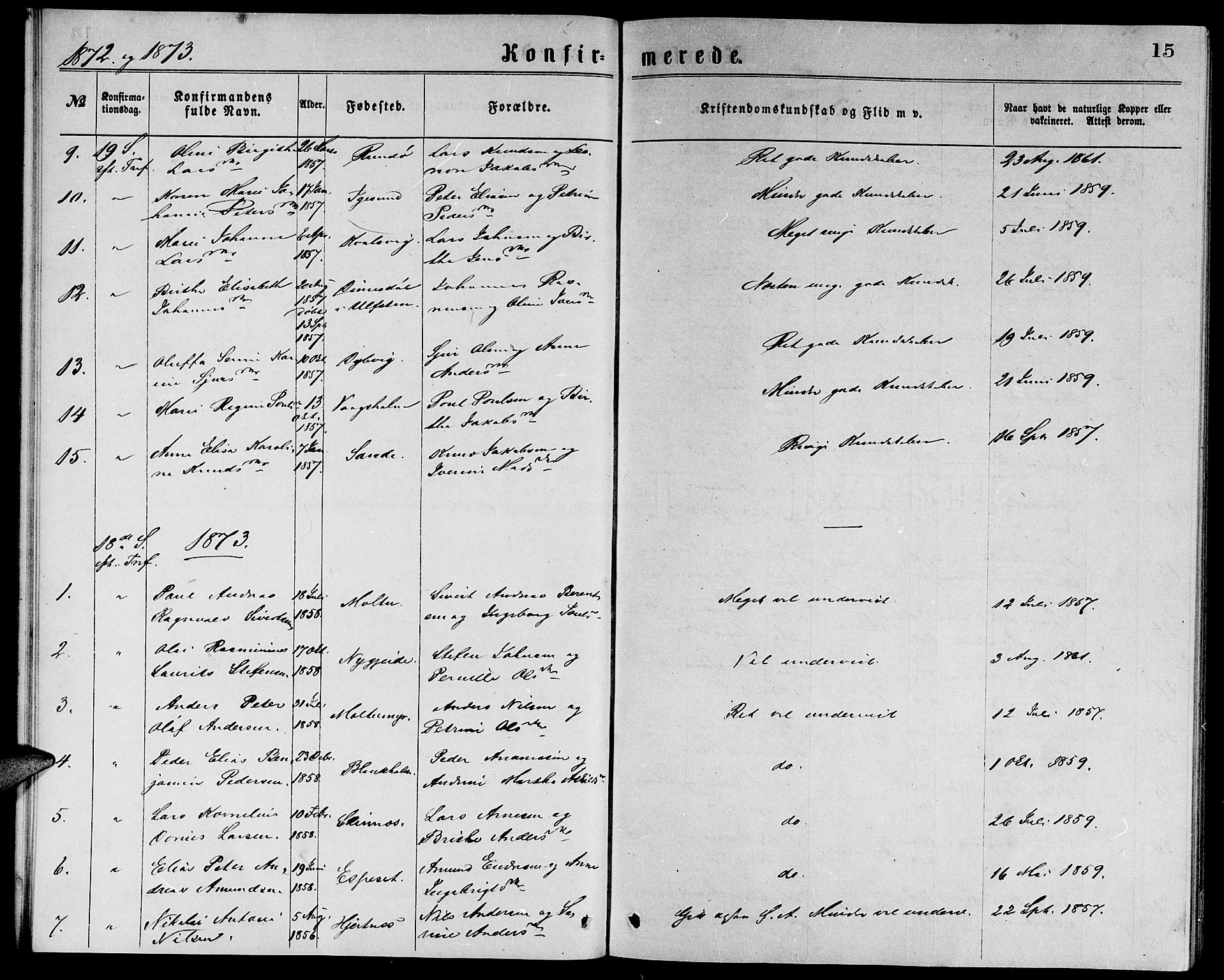 Ministerialprotokoller, klokkerbøker og fødselsregistre - Møre og Romsdal, SAT/A-1454/507/L0072: Ministerialbok nr. 507A07, 1869-1878, s. 15