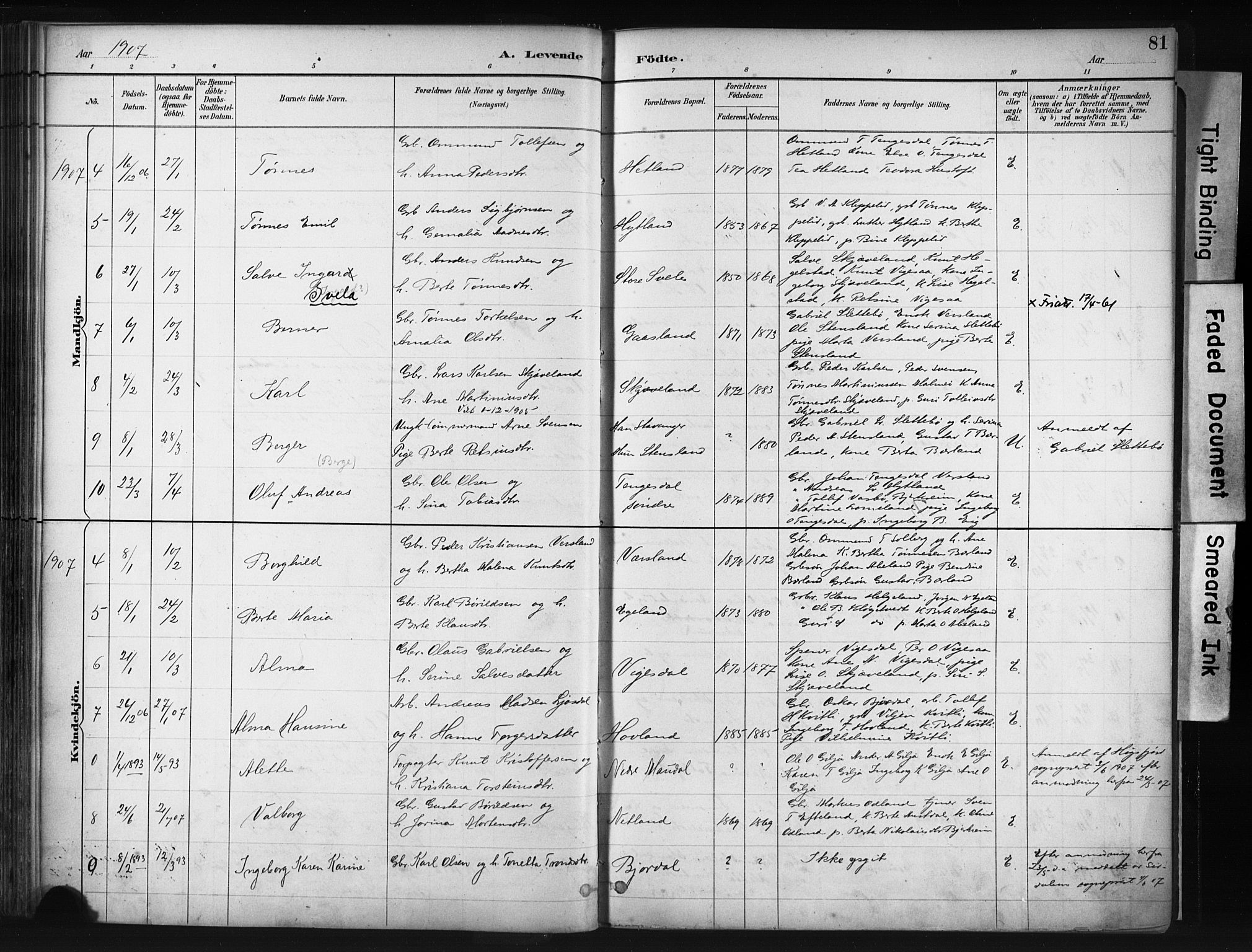 Helleland sokneprestkontor, AV/SAST-A-101810: Ministerialbok nr. A 9, 1887-1908, s. 81