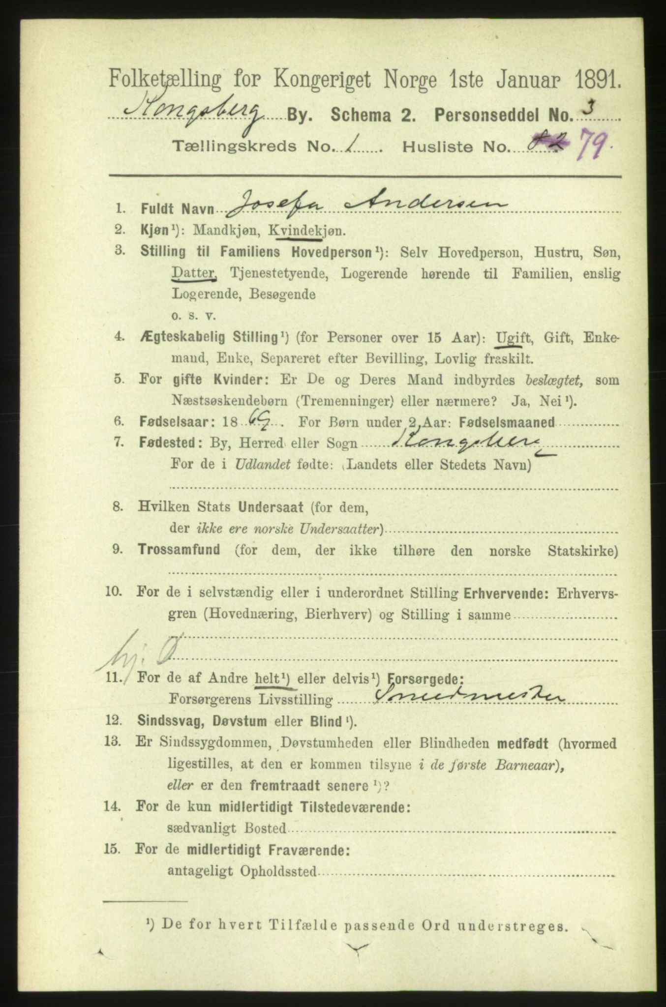 RA, Folketelling 1891 for 0604 Kongsberg kjøpstad, 1891, s. 2213