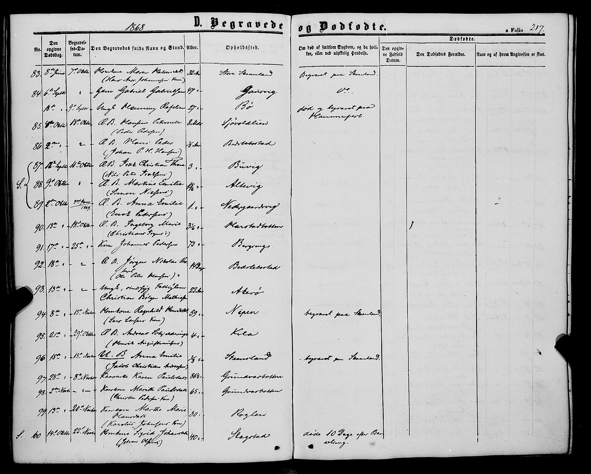Trondenes sokneprestkontor, AV/SATØ-S-1319/H/Ha/L0012kirke: Ministerialbok nr. 12, 1863-1870, s. 217