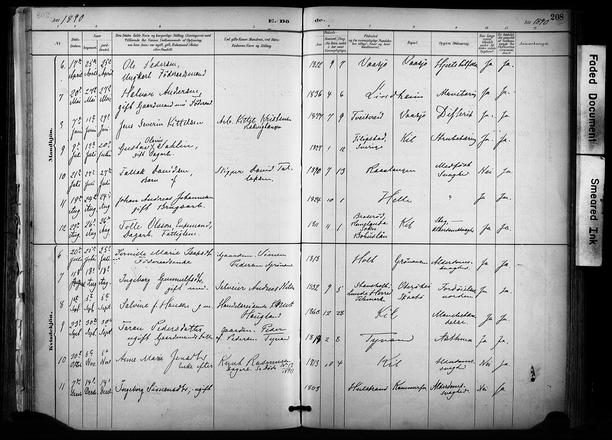 Sannidal kirkebøker, AV/SAKO-A-296/F/Fa/L0015: Ministerialbok nr. 15, 1884-1899, s. 208