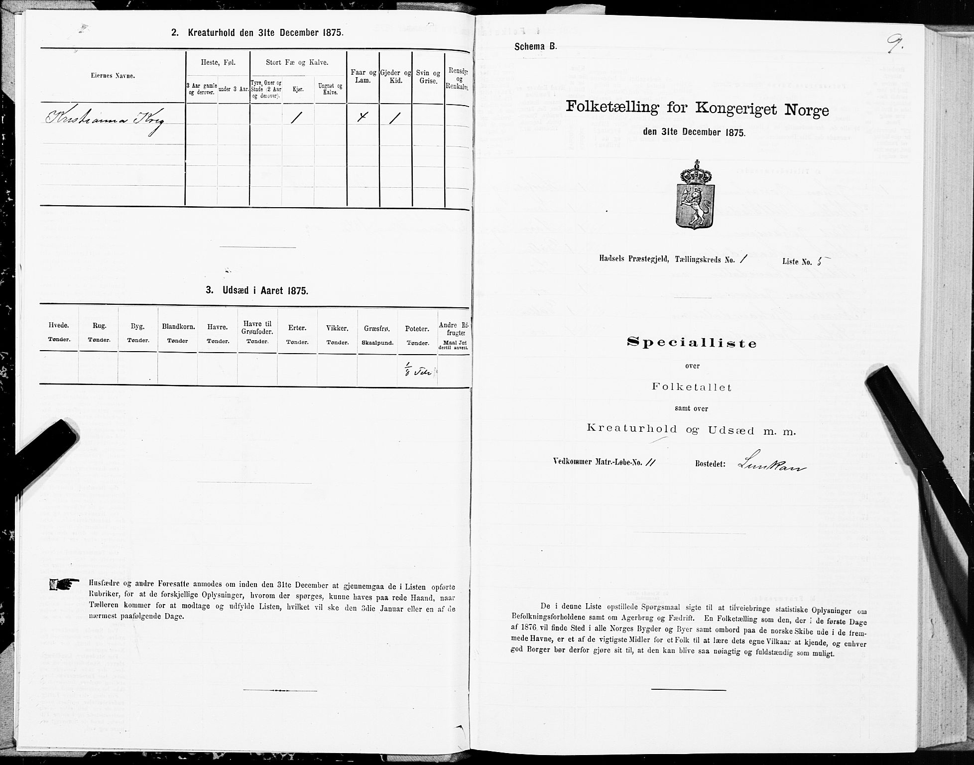 SAT, Folketelling 1875 for 1866P Hadsel prestegjeld, 1875, s. 1009