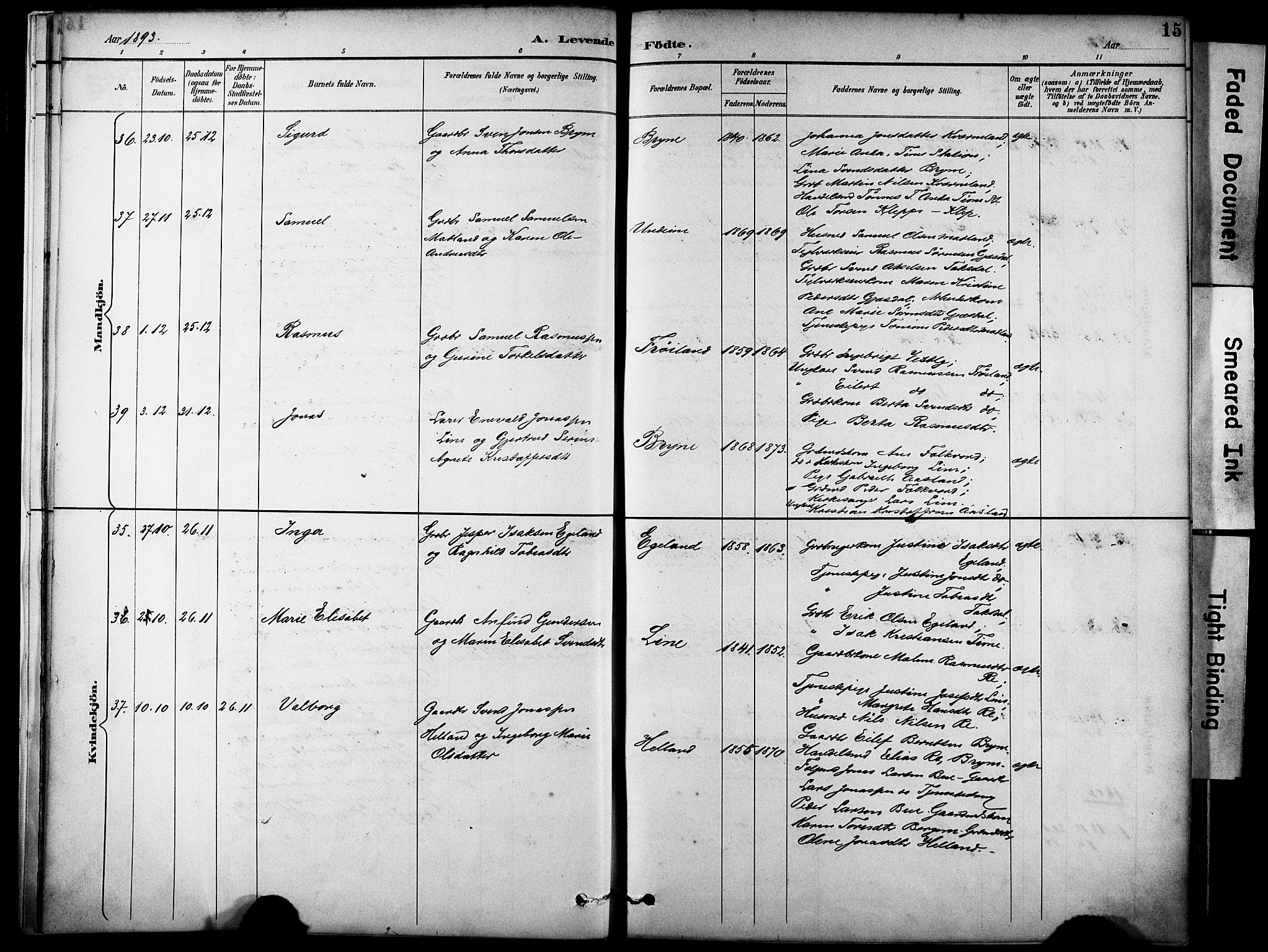 Lye sokneprestkontor, AV/SAST-A-101794/001/30BA/L0011: Ministerialbok nr. A 9, 1893-1903, s. 15