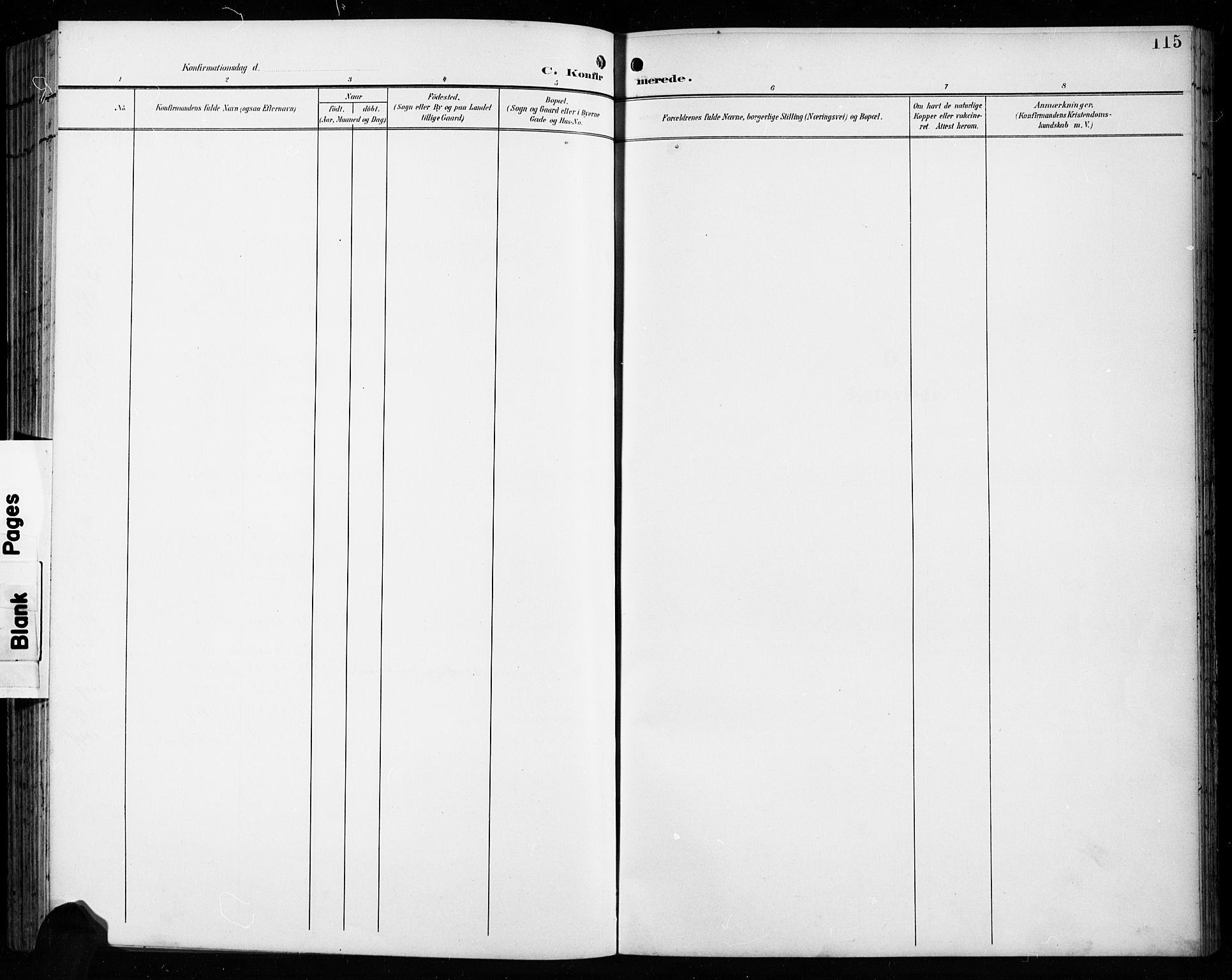 Åseral sokneprestkontor, SAK/1111-0051/F/Fb/L0003: Klokkerbok nr. B 3, 1900-1919, s. 115