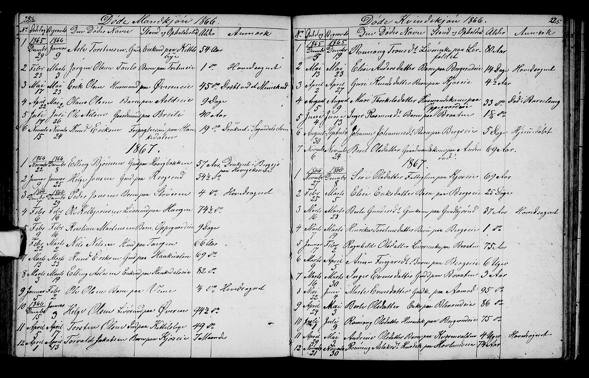 Lunder kirkebøker, AV/SAKO-A-629/G/Ga/L0002: Klokkerbok nr. I 2, 1849-1868, s. 224-225