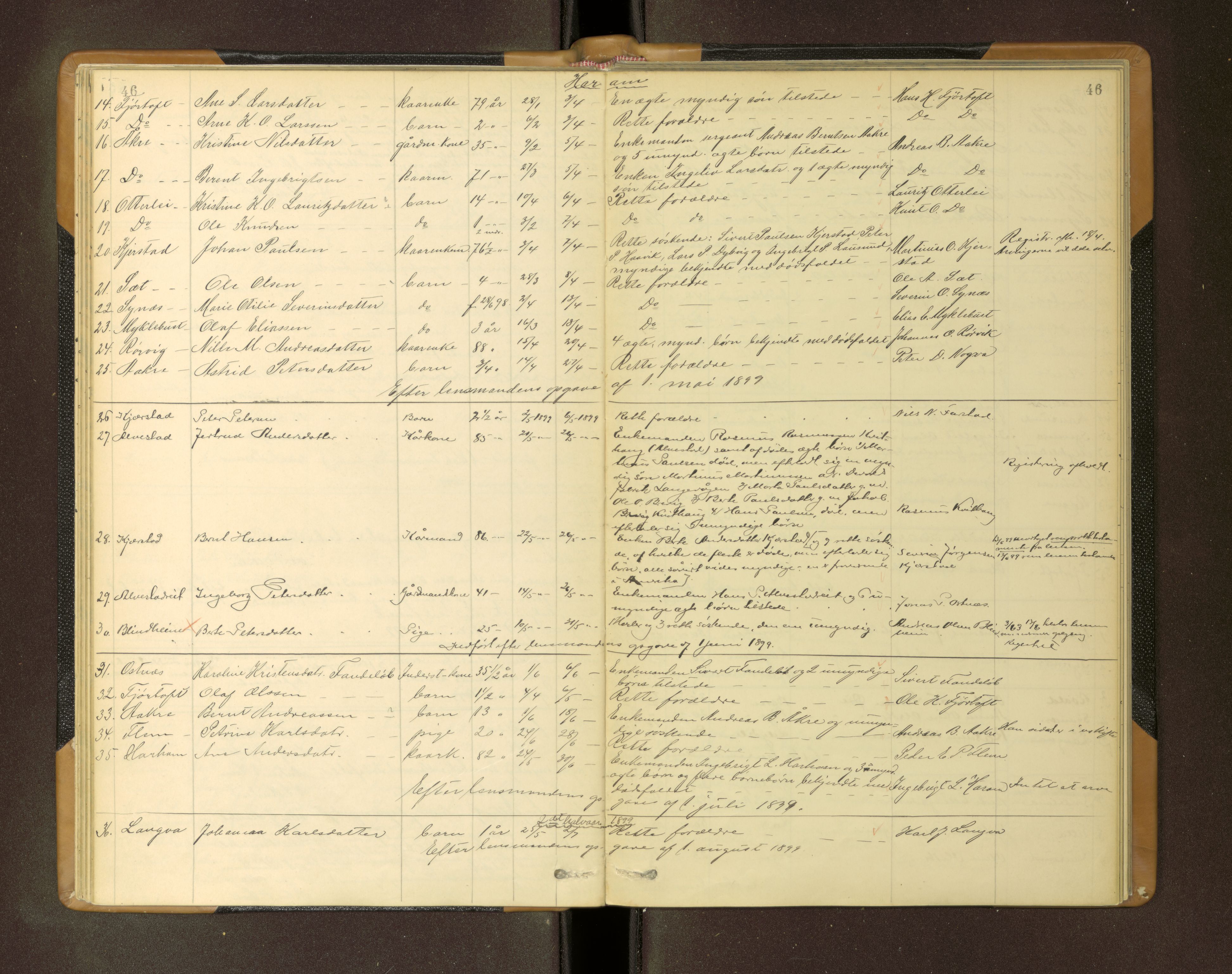 Nordre Sunnmøre sorenskriveri, AV/SAT-A-0006/1/3/3L/L0005: Dødsfallsprotokoll, 1893-1901, s. 46