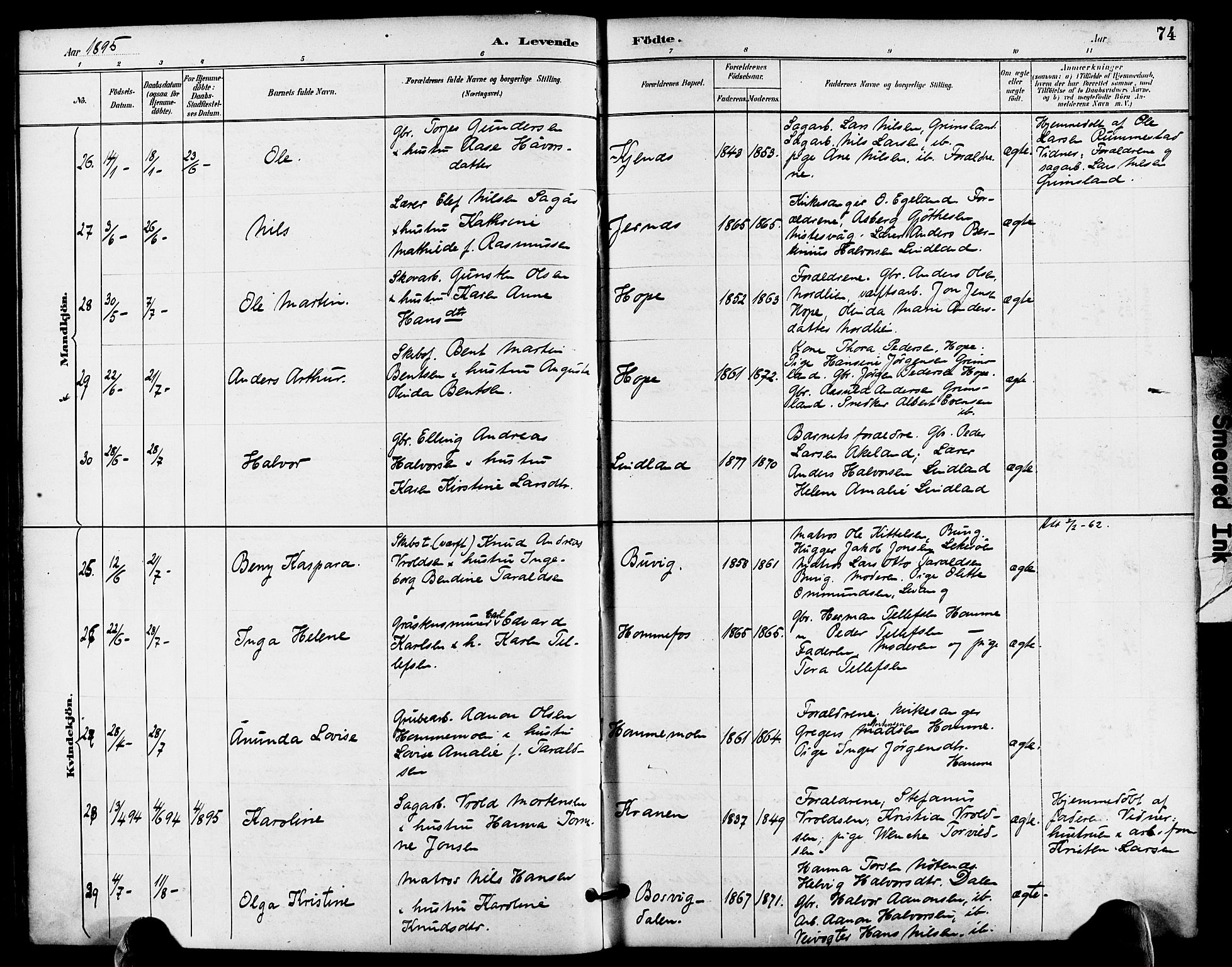 Søndeled sokneprestkontor, AV/SAK-1111-0038/F/Fa/L0005: Ministerialbok nr. A 5, 1889-1899, s. 74