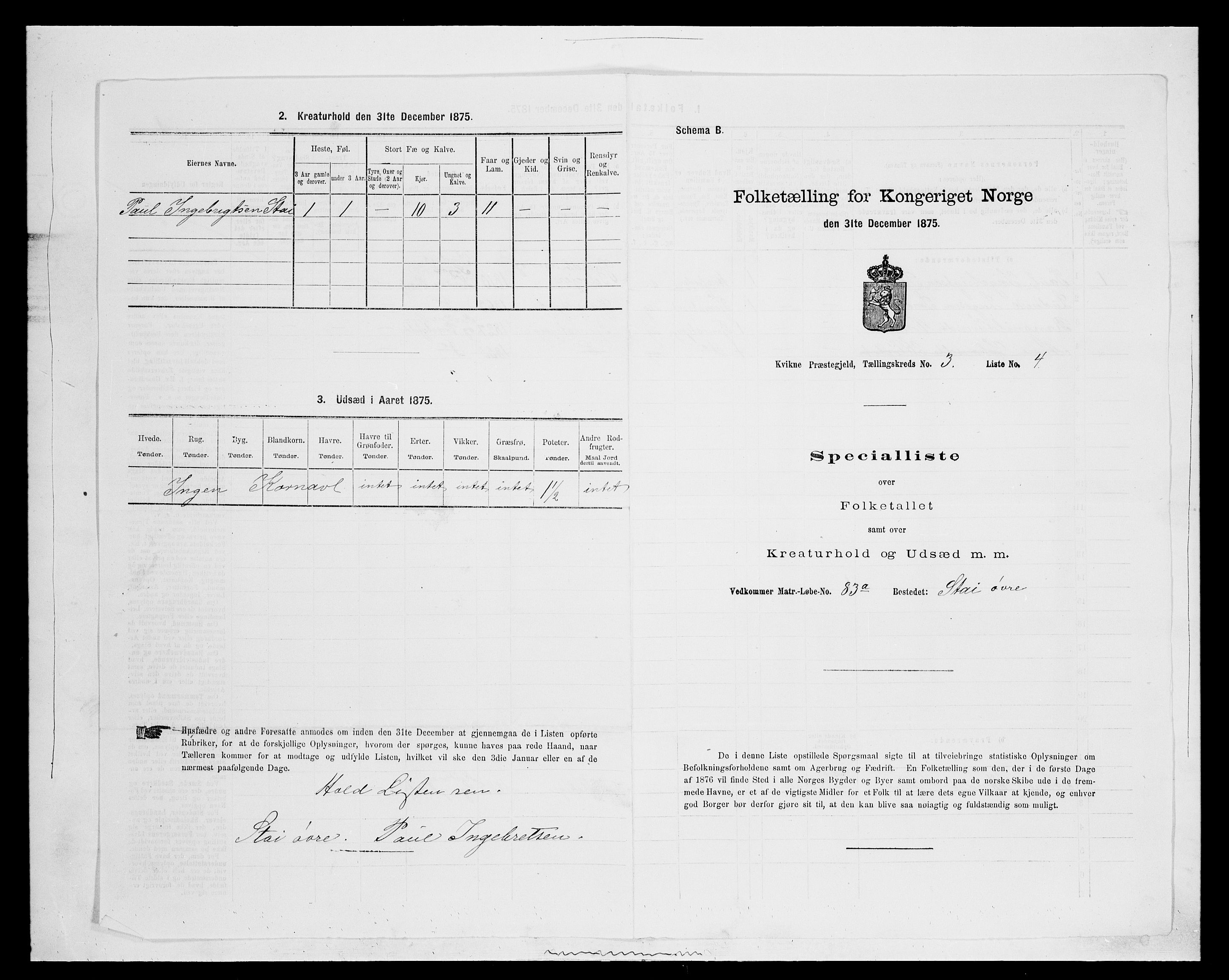 SAH, Folketelling 1875 for 0440P Kvikne prestegjeld, 1875, s. 272