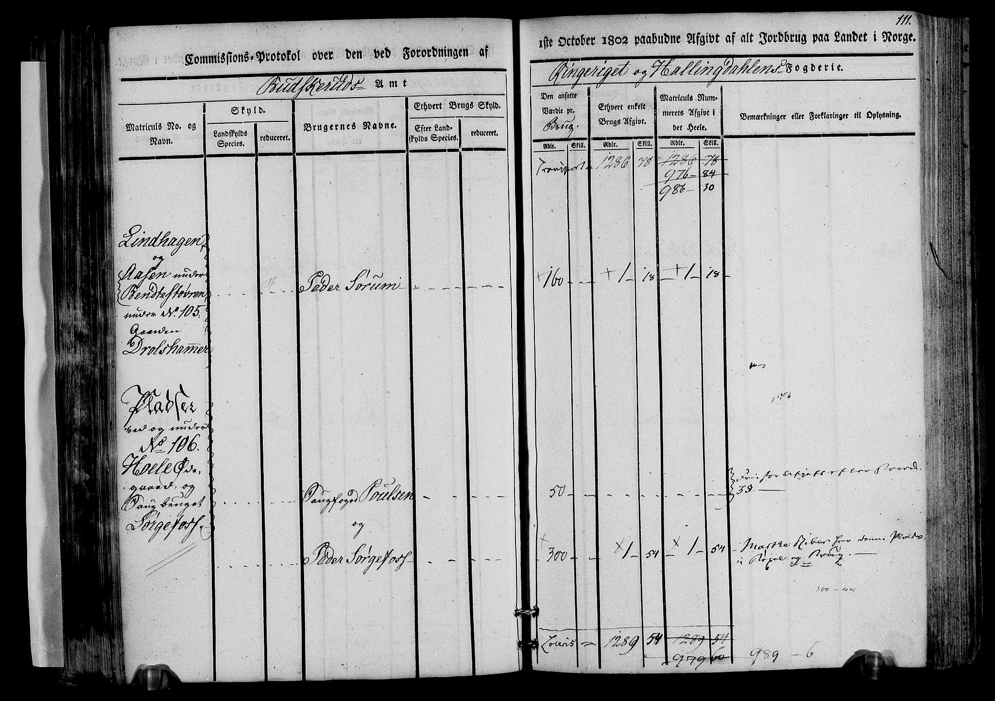 Rentekammeret inntil 1814, Realistisk ordnet avdeling, AV/RA-EA-4070/N/Ne/Nea/L0045: Ringerike og Hallingdal fogderi. Kommisjonsprotokoll for Norderhov prestegjeld, 1803, s. 114