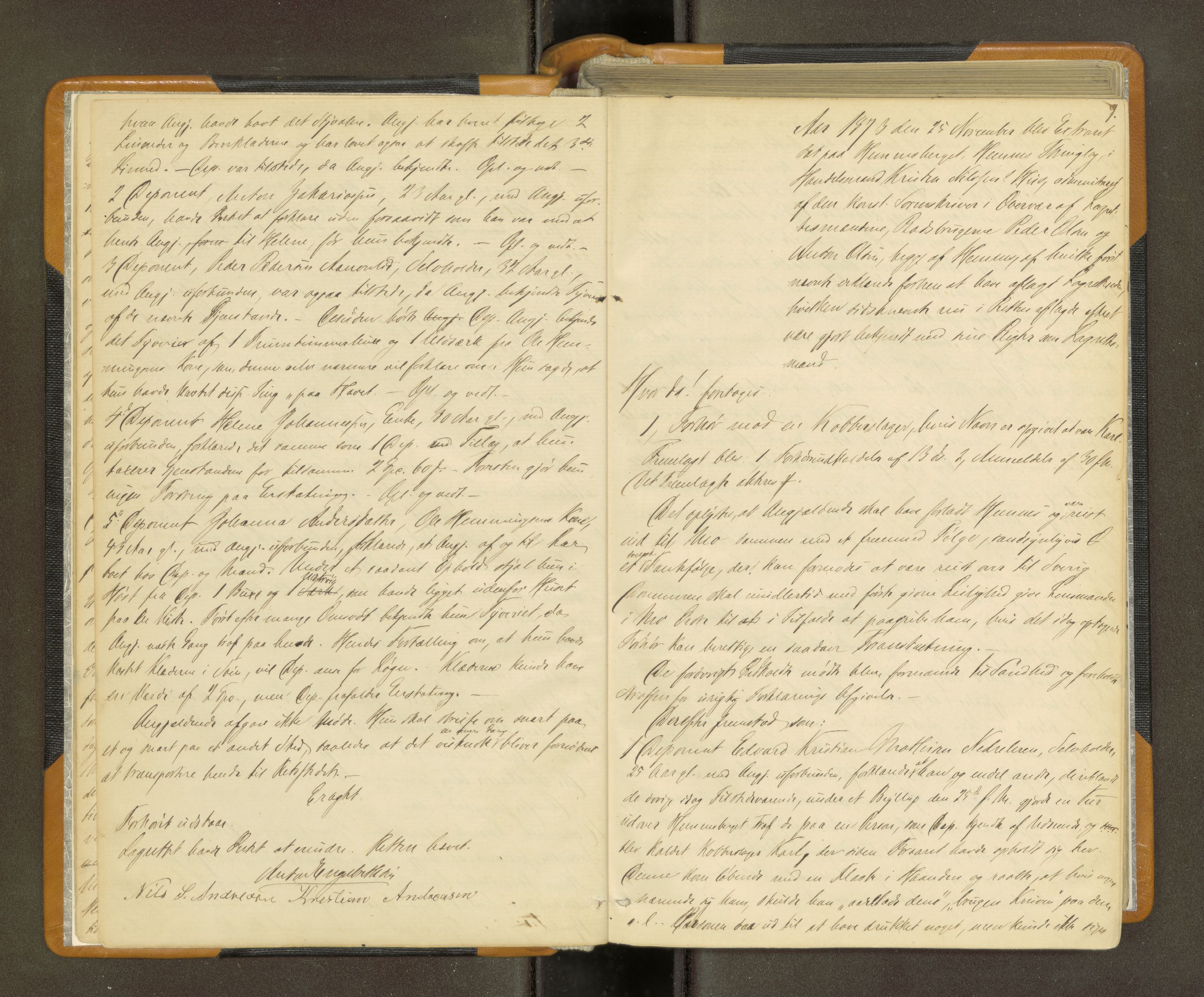 Rana sorenskriveri , AV/SAT-A-1108/1/1/1B/L0008: Ekstrarettsprotokoll, 1873-1876, s. 8b-9a