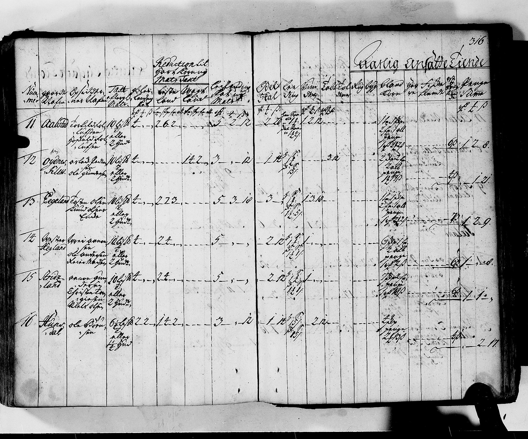 Rentekammeret inntil 1814, Realistisk ordnet avdeling, AV/RA-EA-4070/N/Nb/Nbf/L0130: Lista matrikkelprotokoll, 1723, s. 316