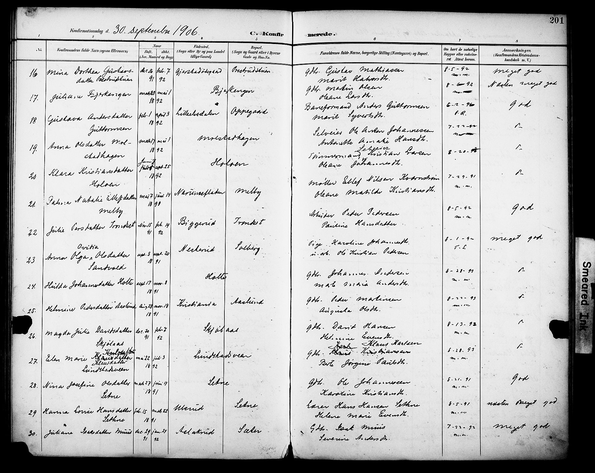 Vestre Toten prestekontor, SAH/PREST-108/H/Ha/Haa/L0013: Ministerialbok nr. 13, 1895-1911, s. 201