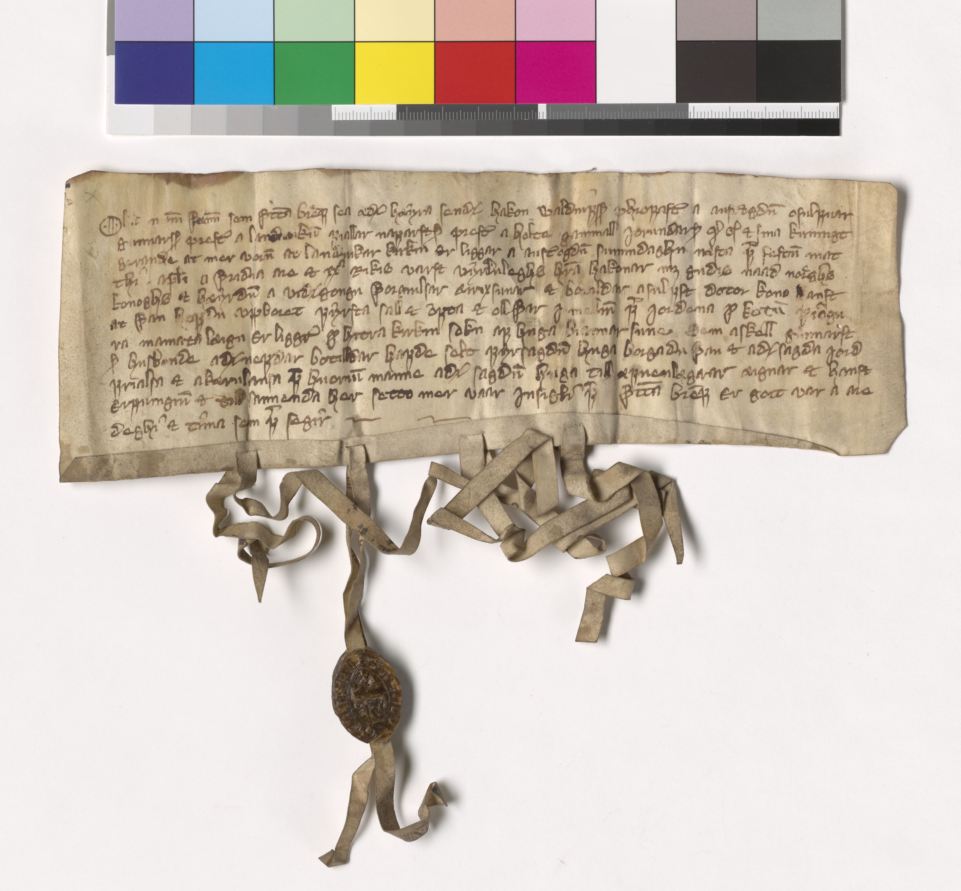 Riksarkivets diplomsamling, AV/RA-EA-5965/F05/L0112: NRA AM fasc. 36 nr. 8-12, 1378-1380, s. 8