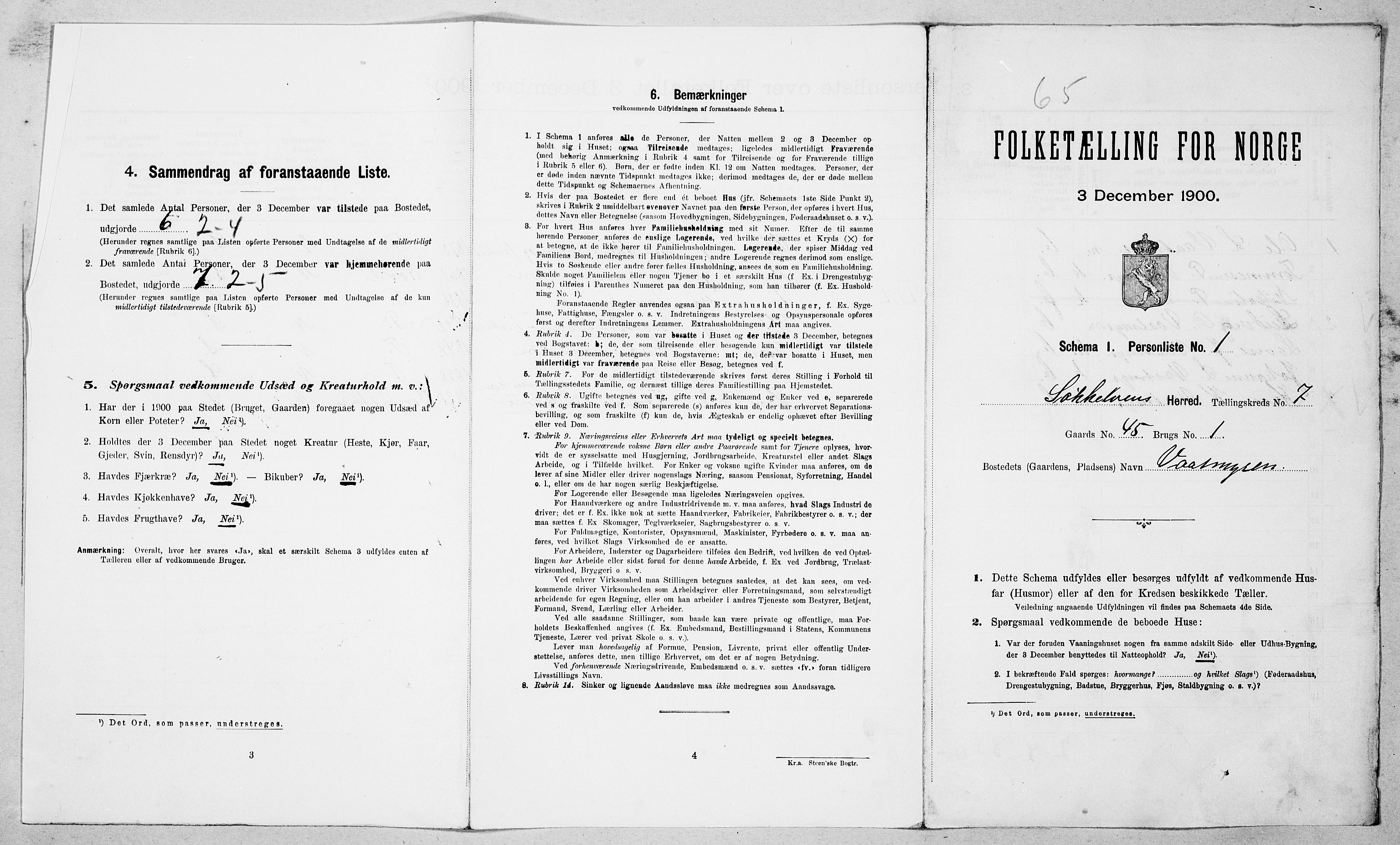 SAT, Folketelling 1900 for 1528 Sykkylven herred, 1900, s. 695