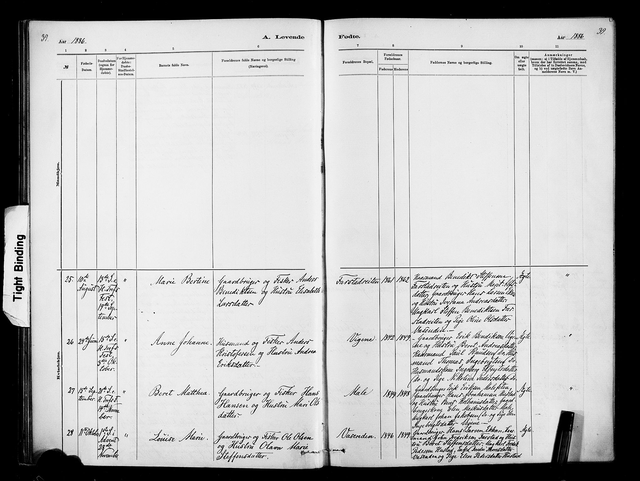 Ministerialprotokoller, klokkerbøker og fødselsregistre - Møre og Romsdal, AV/SAT-A-1454/567/L0778: Ministerialbok nr. 567A01, 1881-1903, s. 39