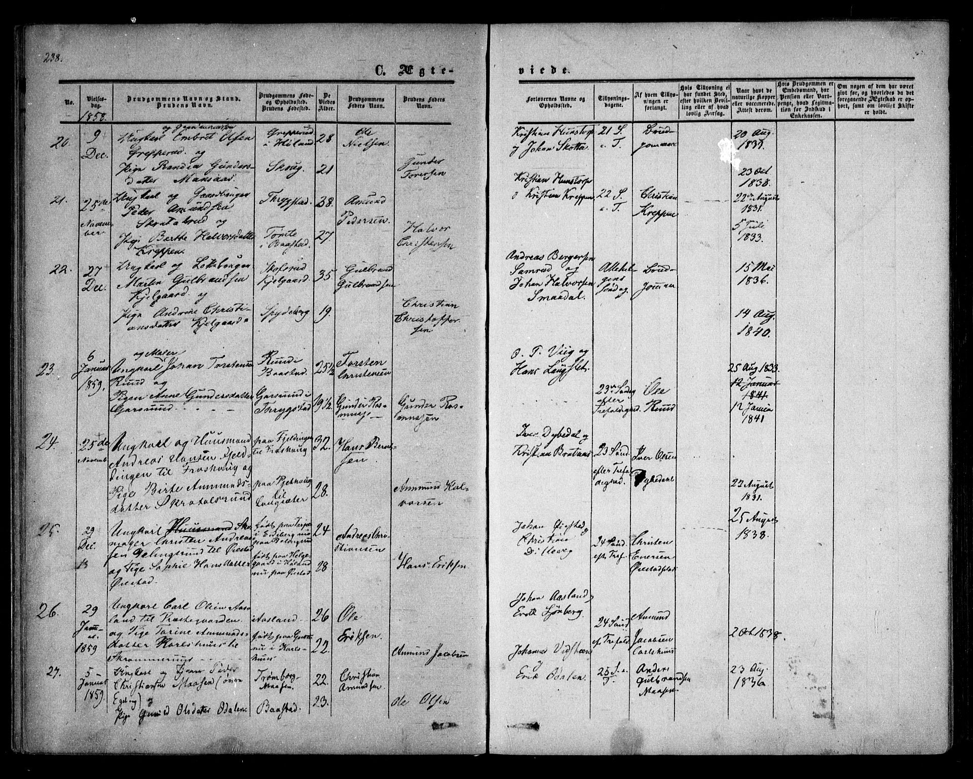 Trøgstad prestekontor Kirkebøker, AV/SAO-A-10925/F/Fa/L0008.b: Ministerialbok nr. I 8B, 1855-1864, s. 238