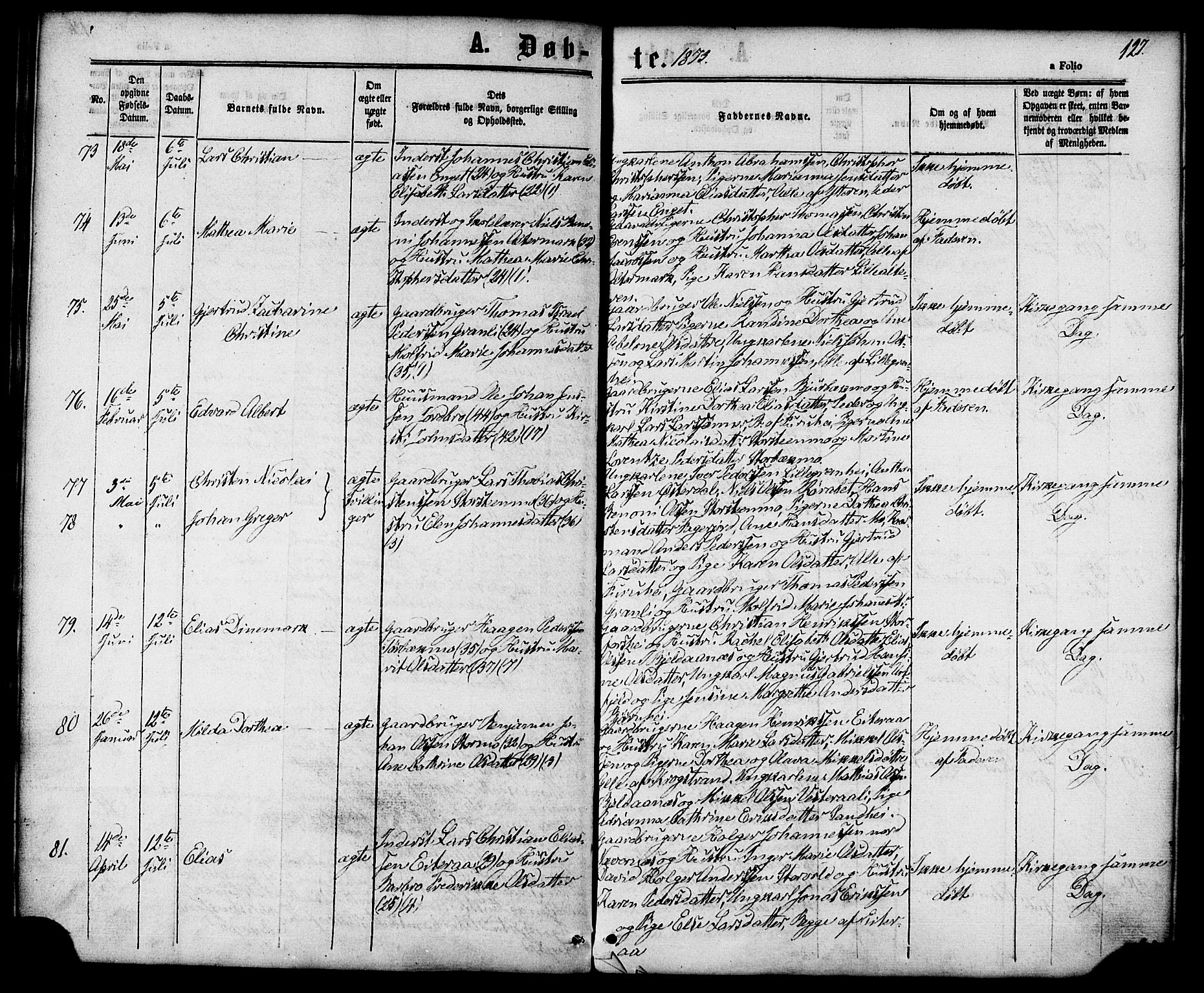 Ministerialprotokoller, klokkerbøker og fødselsregistre - Nordland, AV/SAT-A-1459/827/L0393: Ministerialbok nr. 827A05, 1863-1883, s. 127