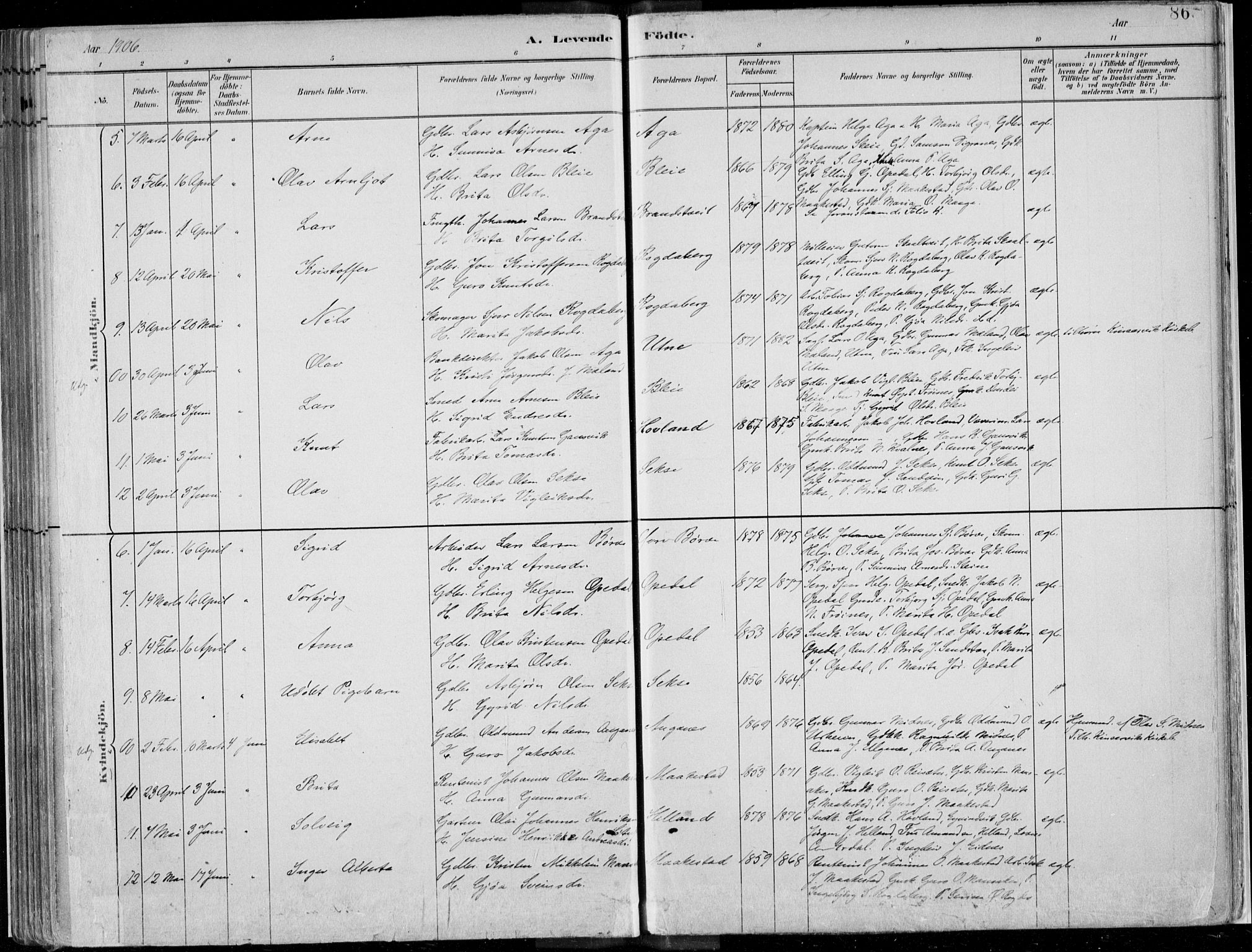 Ullensvang sokneprestembete, AV/SAB-A-78701/H/Haa: Ministerialbok nr. B  1, 1882-1918, s. 86