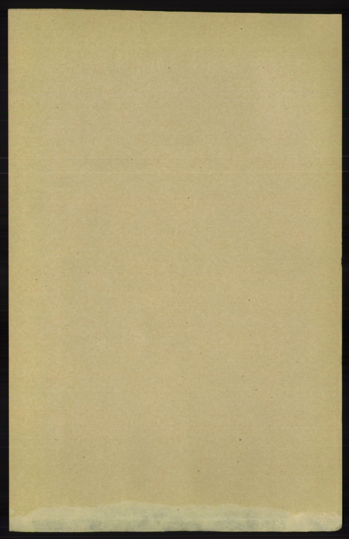 RA, Folketelling 1891 for 1157 Vikedal herred, 1891, s. 2895