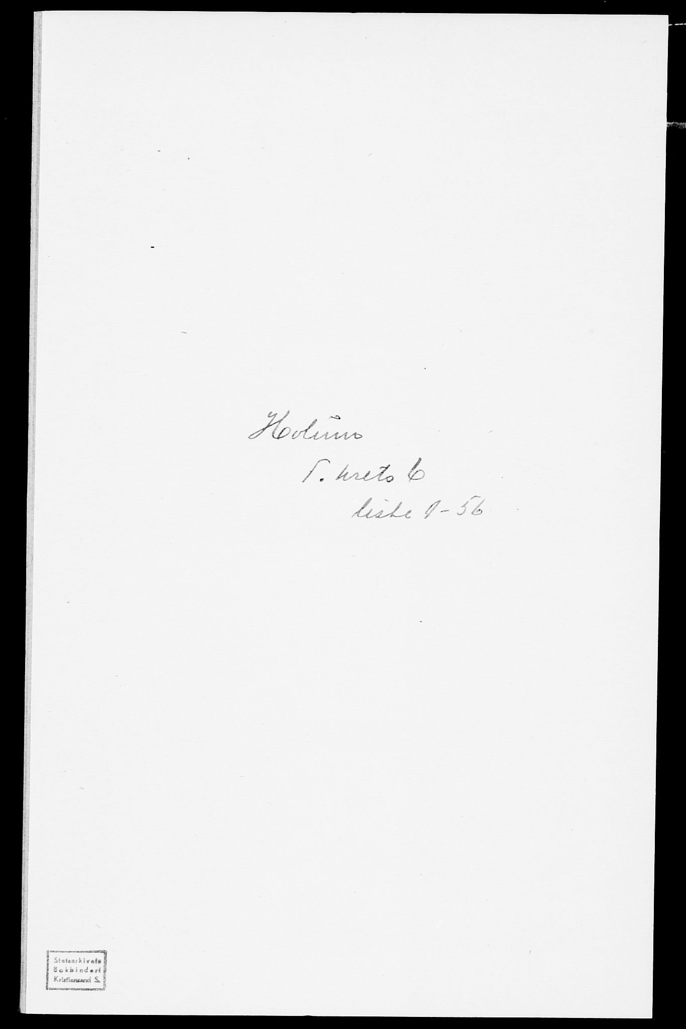 SAK, Folketelling 1875 for 1020P Holum prestegjeld, 1875, s. 572