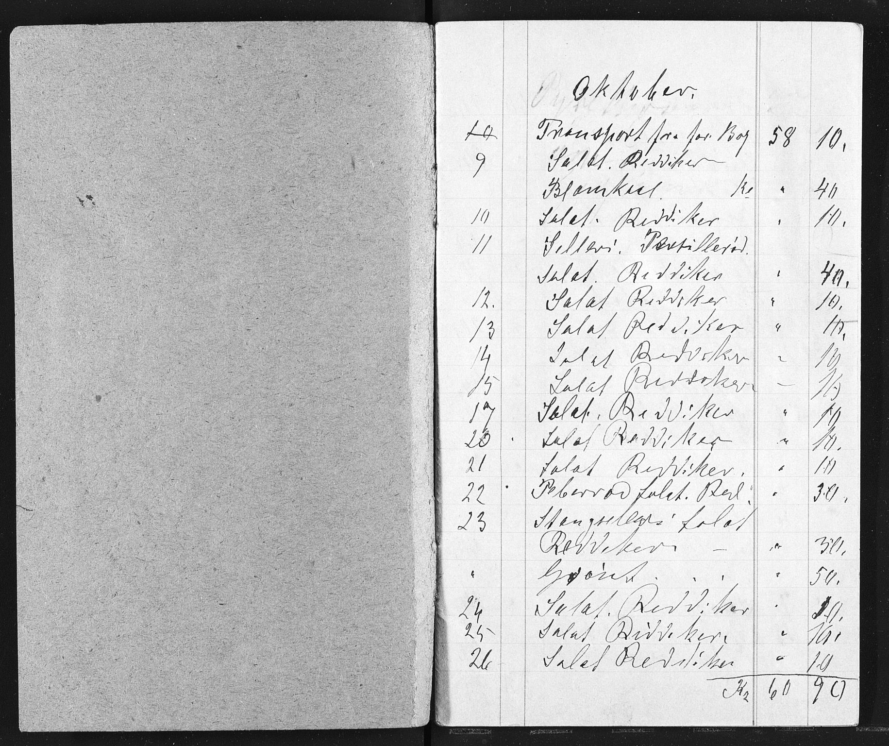 Familien Aalls privatarkiv , NESJ/NJM-005/E-00003/L0001/0002/0014: Dag- og notatbøker / Dølner dagbok-bokpakke 002, 1908-1909