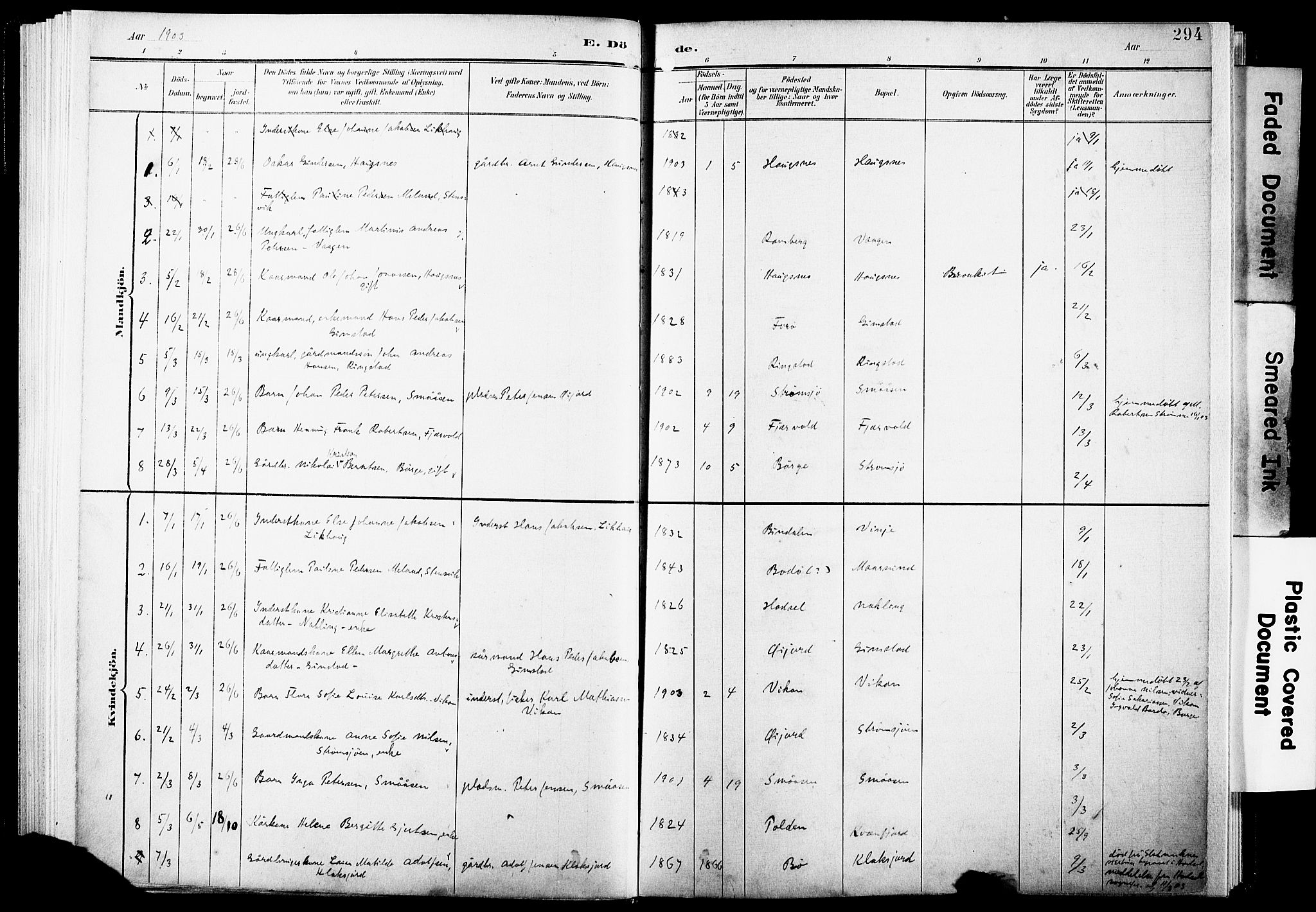 Ministerialprotokoller, klokkerbøker og fødselsregistre - Nordland, SAT/A-1459/891/L1305: Ministerialbok nr. 891A10, 1895-1921, s. 294