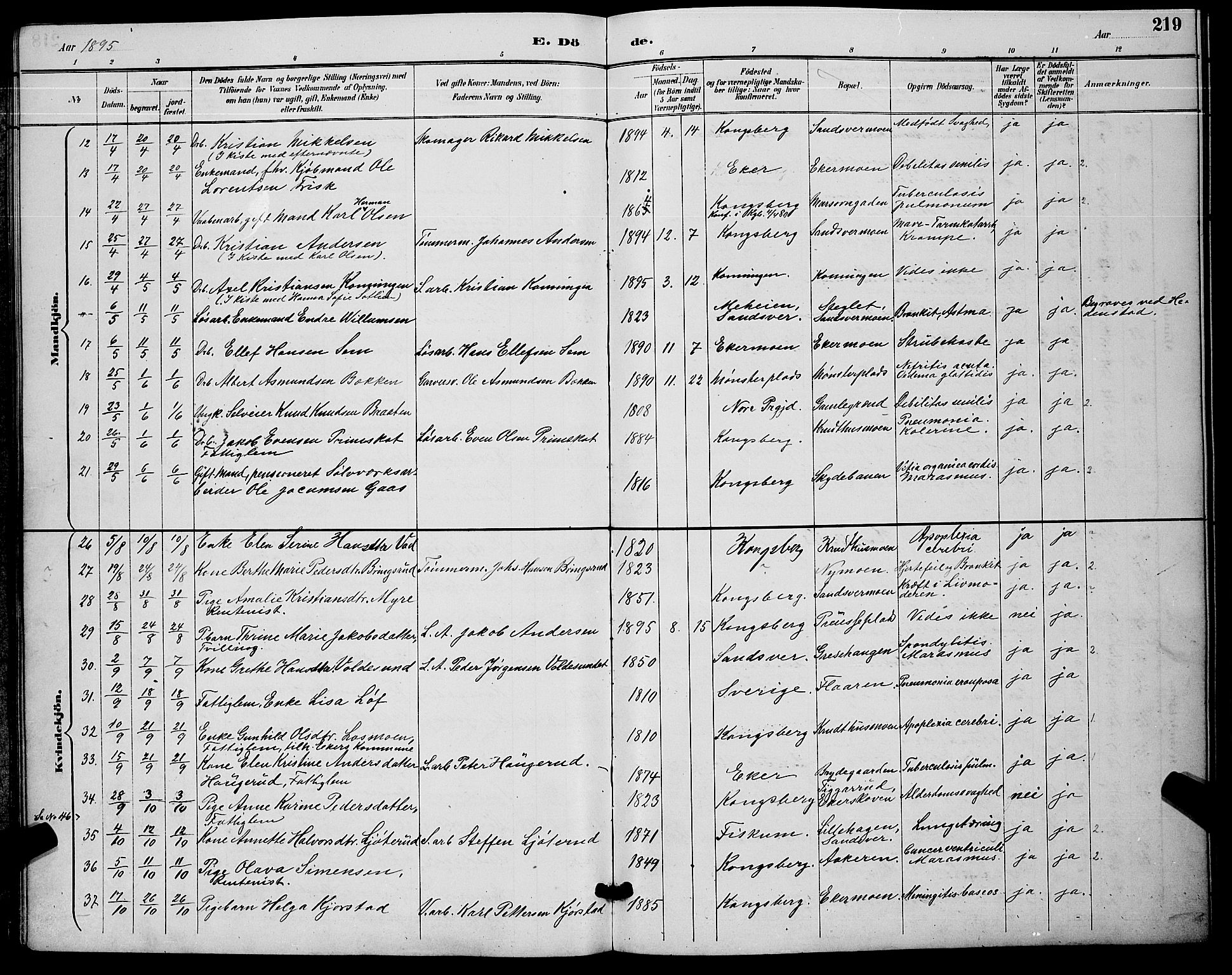 Kongsberg kirkebøker, AV/SAKO-A-22/G/Ga/L0006: Klokkerbok nr. 6, 1890-1901, s. 219