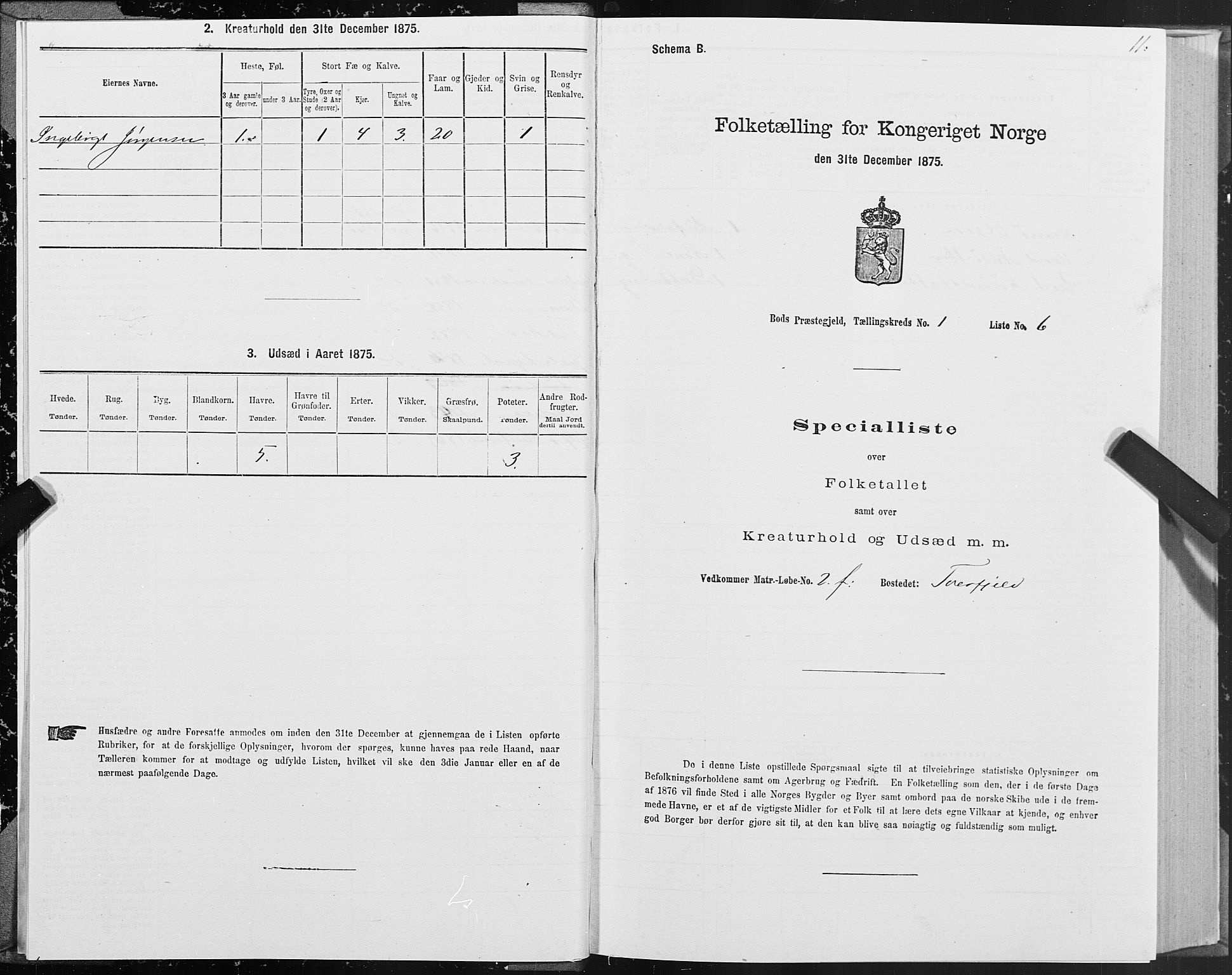 SAT, Folketelling 1875 for 1549P Bud prestegjeld, 1875, s. 1011