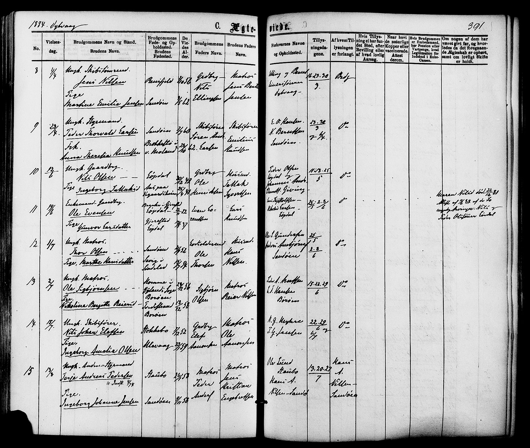 Dypvåg sokneprestkontor, AV/SAK-1111-0007/F/Fa/Faa/L0007: Ministerialbok nr. A 7/ 1, 1872-1884, s. 391