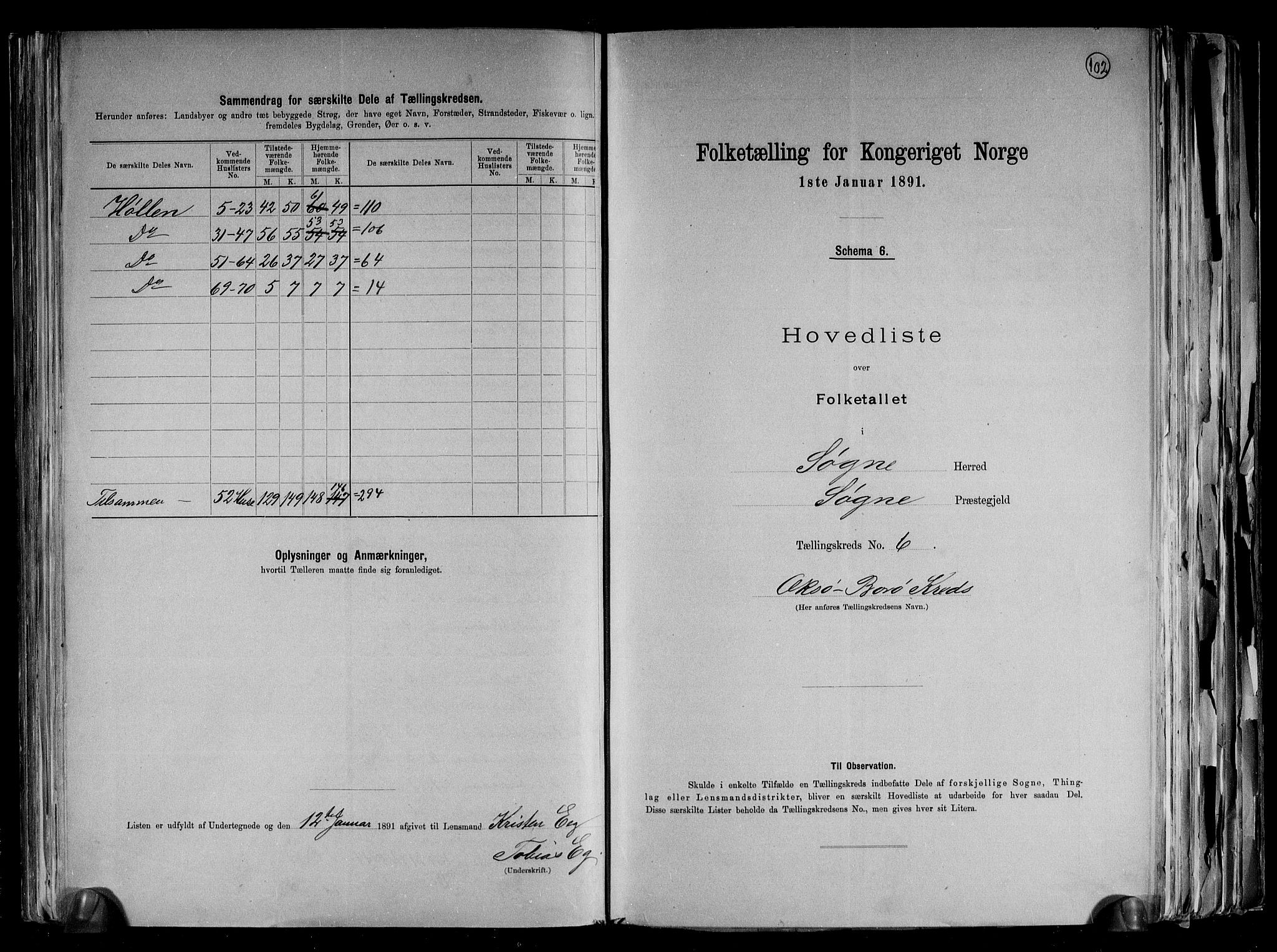 RA, Folketelling 1891 for 1018 Søgne herred, 1891, s. 17