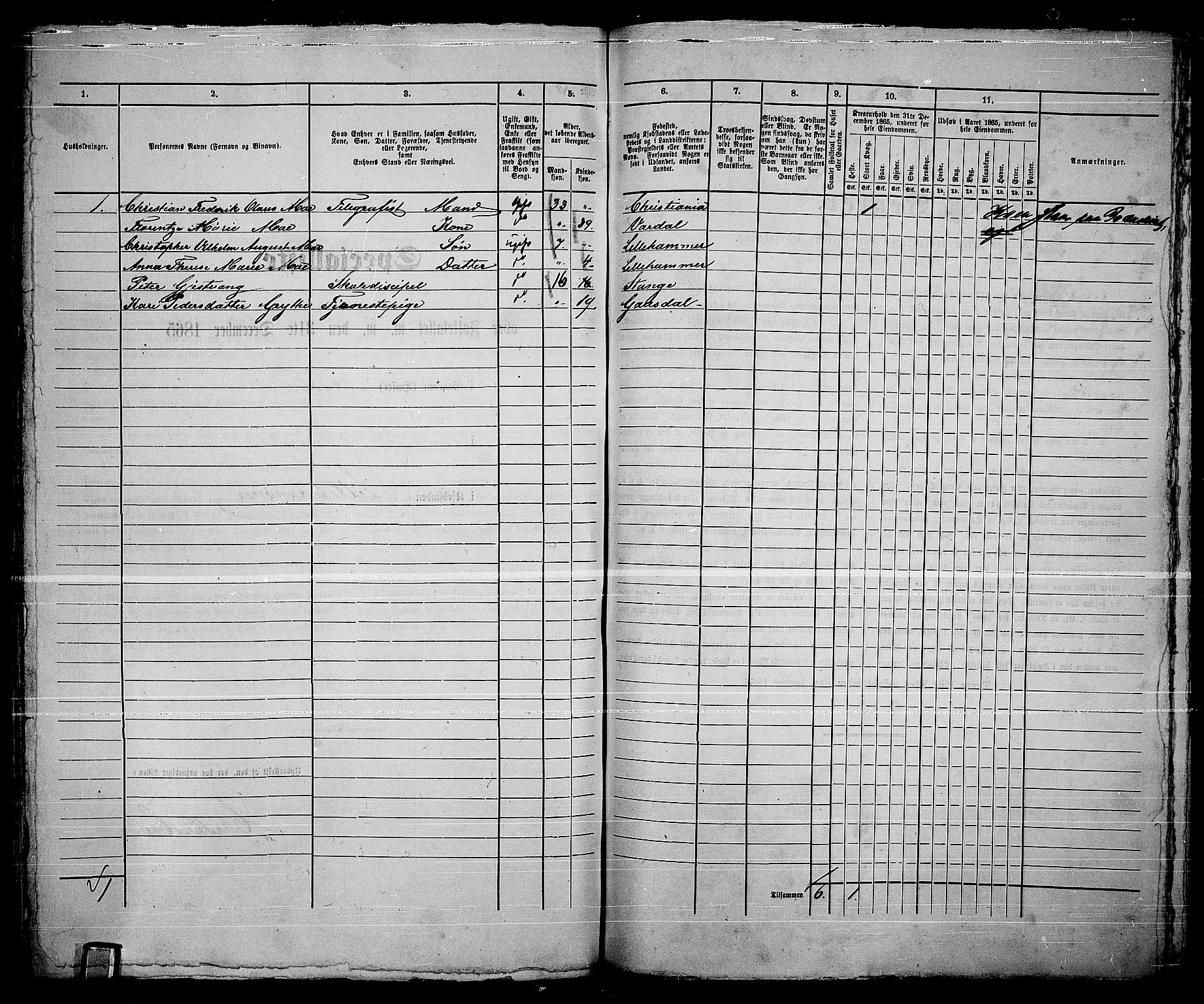 RA, Folketelling 1865 for 0501B Fåberg prestegjeld, Lillehammer kjøpstad, 1865, s. 249