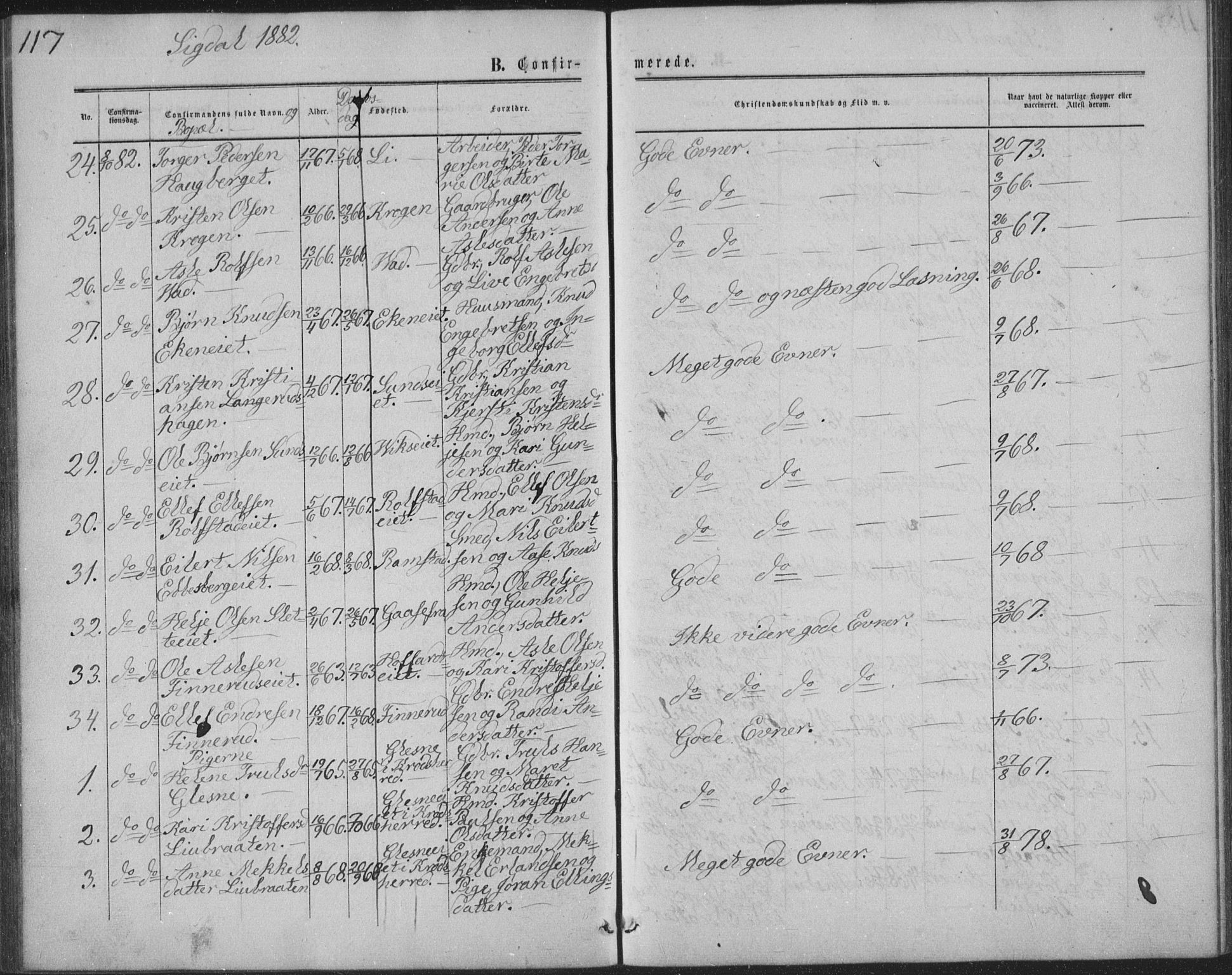 Sigdal kirkebøker, AV/SAKO-A-245/G/Ga/L0004: Klokkerbok nr. I 4, 1879-1885, s. 117