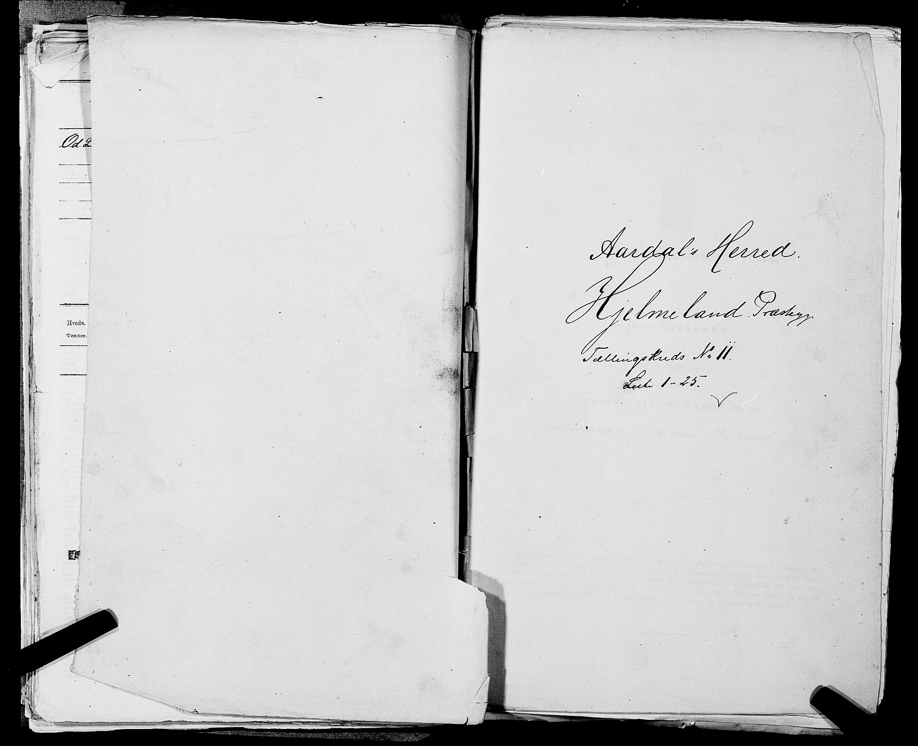 SAST, Folketelling 1875 for 1133P Hjelmeland prestegjeld, 1875, s. 1329