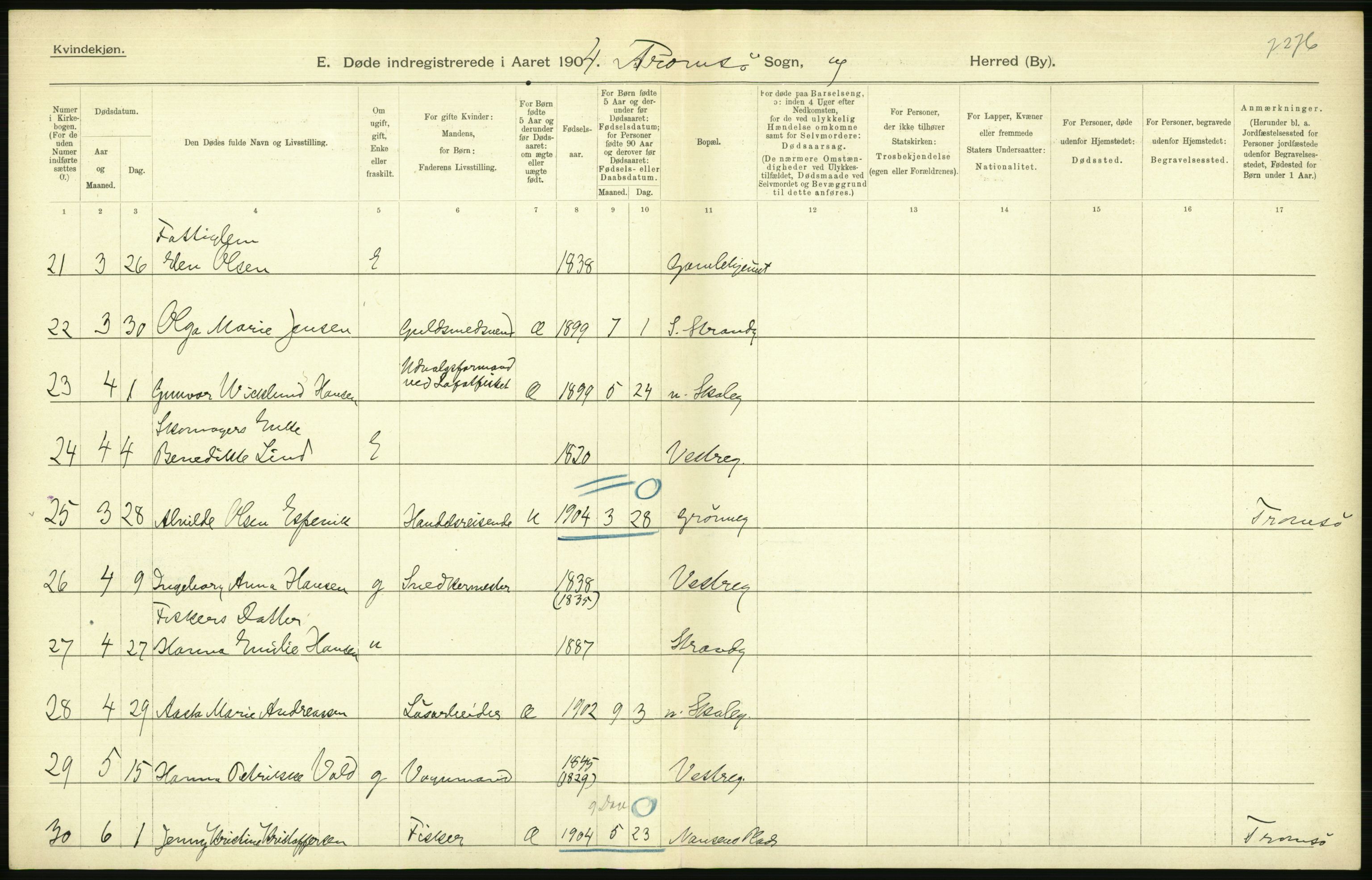 Statistisk sentralbyrå, Sosiodemografiske emner, Befolkning, RA/S-2228/D/Df/Dfa/Dfab/L0022: Tromsø amt: Fødte, gifte, døde, 1904, s. 528