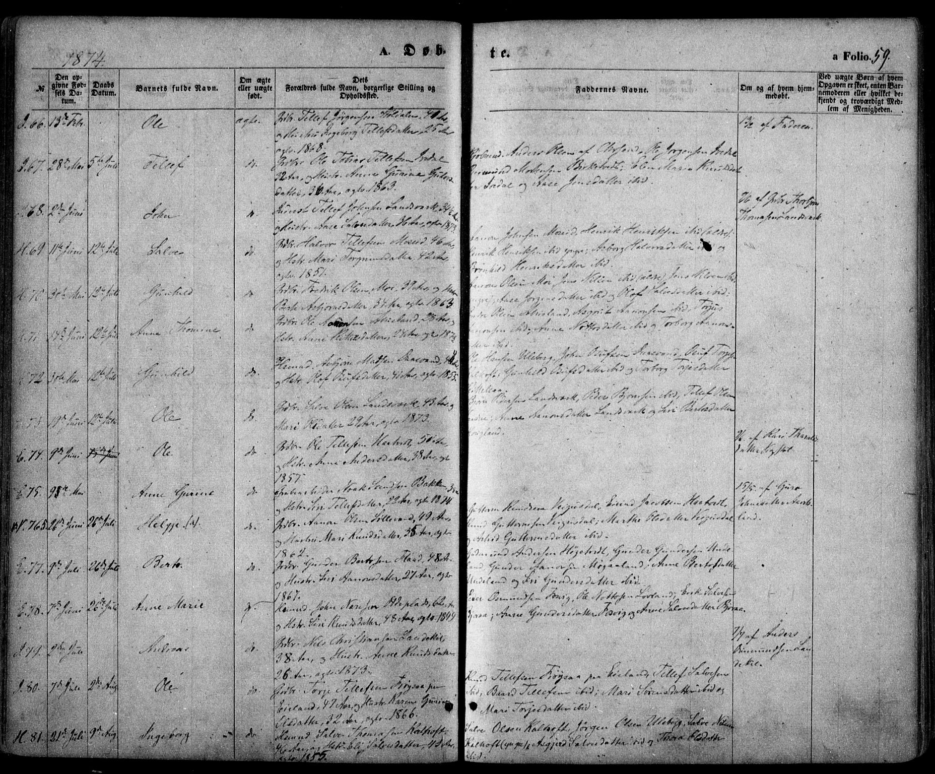 Evje sokneprestkontor, AV/SAK-1111-0008/F/Fa/Faa/L0006: Ministerialbok nr. A 6, 1866-1884, s. 59