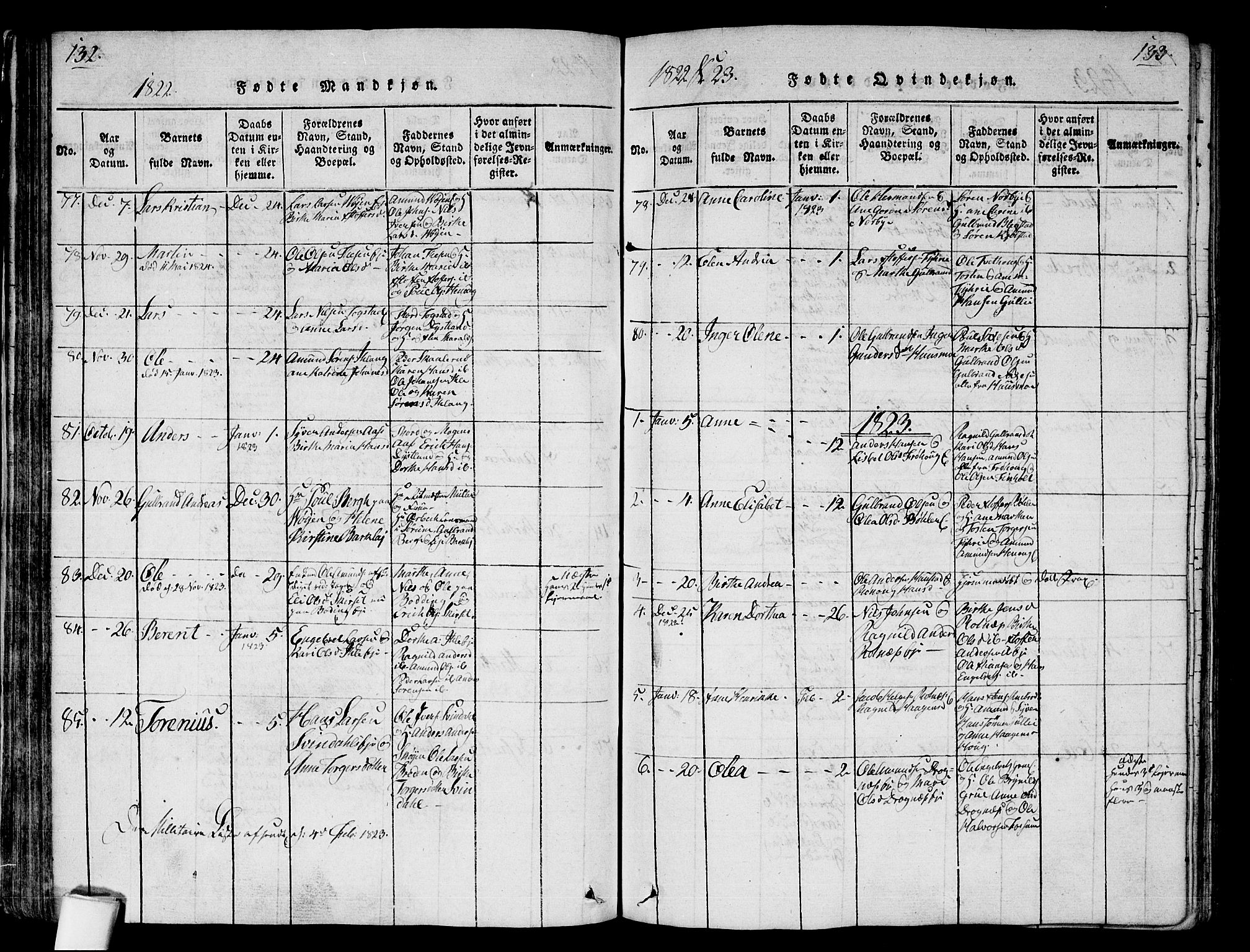Nes prestekontor Kirkebøker, AV/SAO-A-10410/G/Ga/L0001: Klokkerbok nr. I 1, 1815-1835, s. 132-133