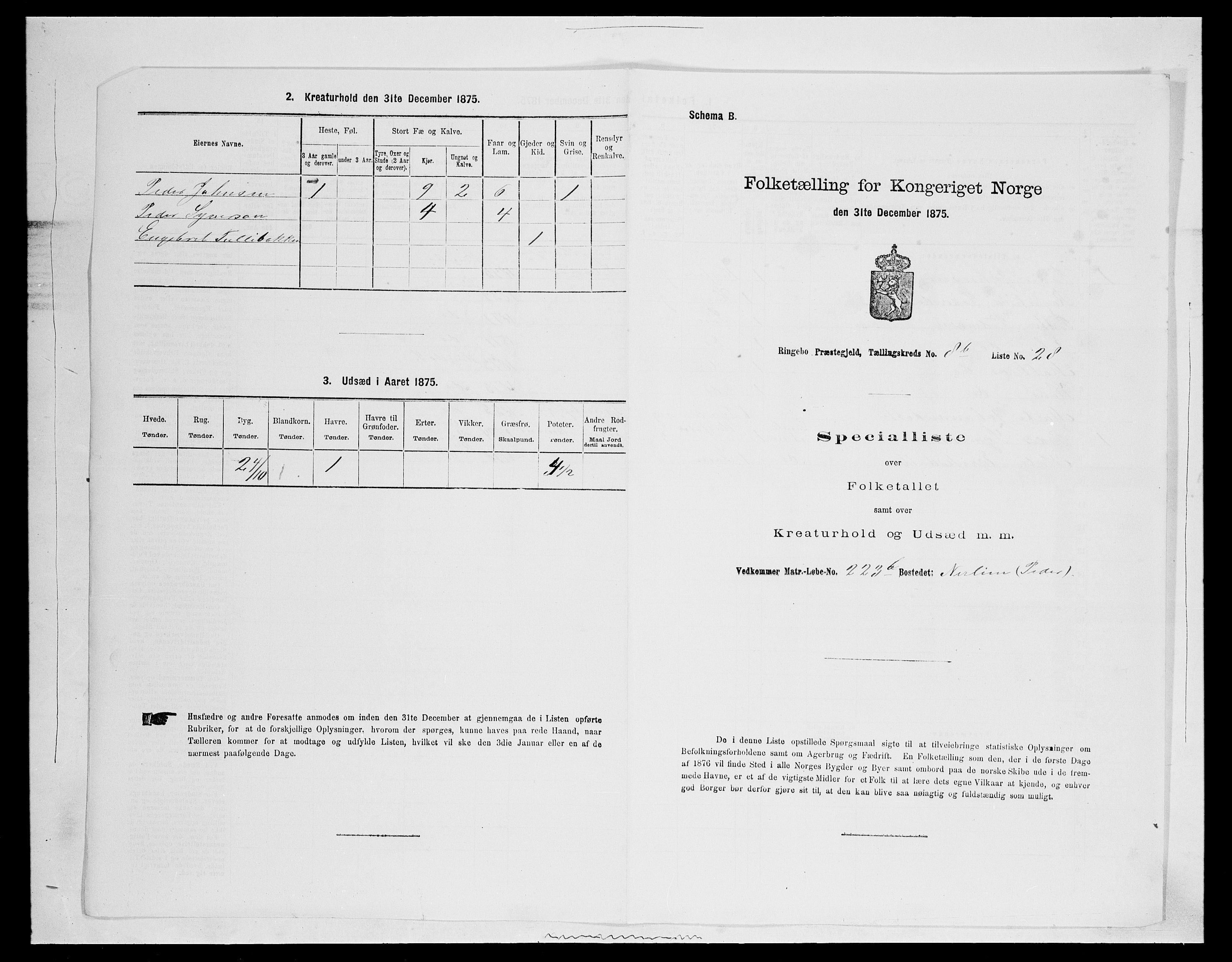 SAH, Folketelling 1875 for 0520P Ringebu prestegjeld, 1875, s. 1326