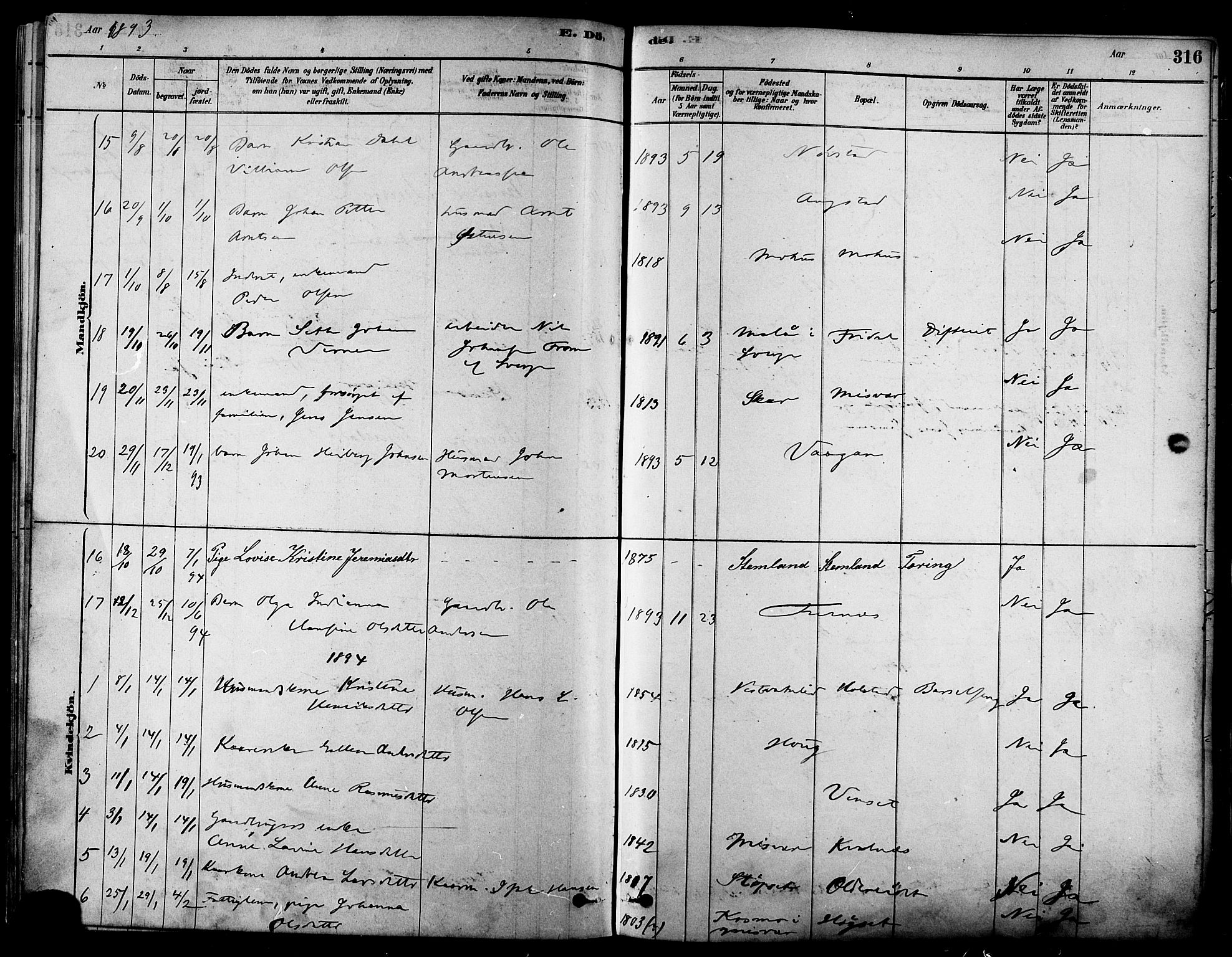 Ministerialprotokoller, klokkerbøker og fødselsregistre - Nordland, SAT/A-1459/852/L0740: Ministerialbok nr. 852A10, 1878-1894, s. 316