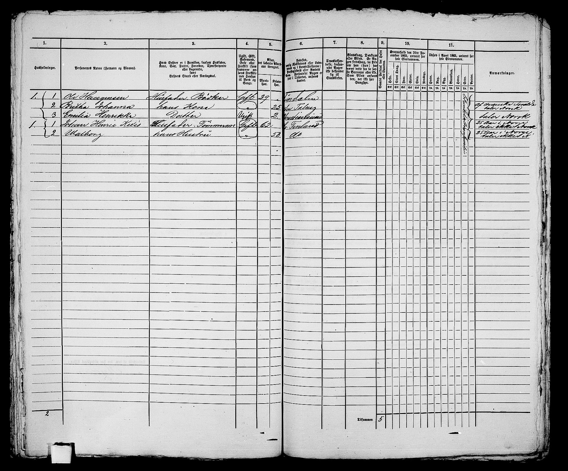 RA, Folketelling 1865 for 2001B Hammerfest prestegjeld, Hammerfest kjøpstad, 1865, s. 319