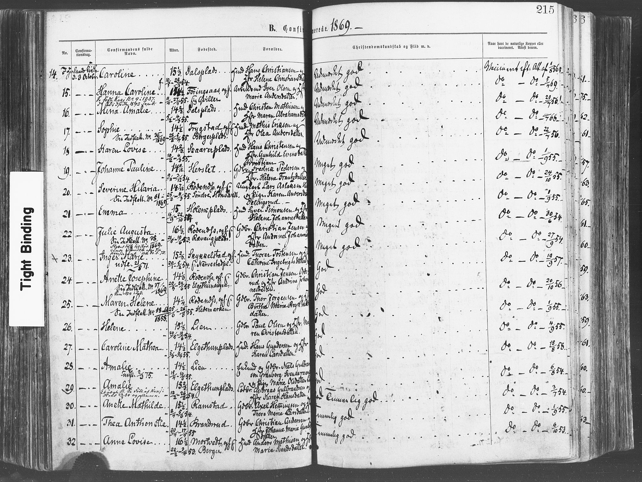 Eidsberg prestekontor Kirkebøker, AV/SAO-A-10905/F/Fa/L0011: Ministerialbok nr. I 11, 1867-1878, s. 215