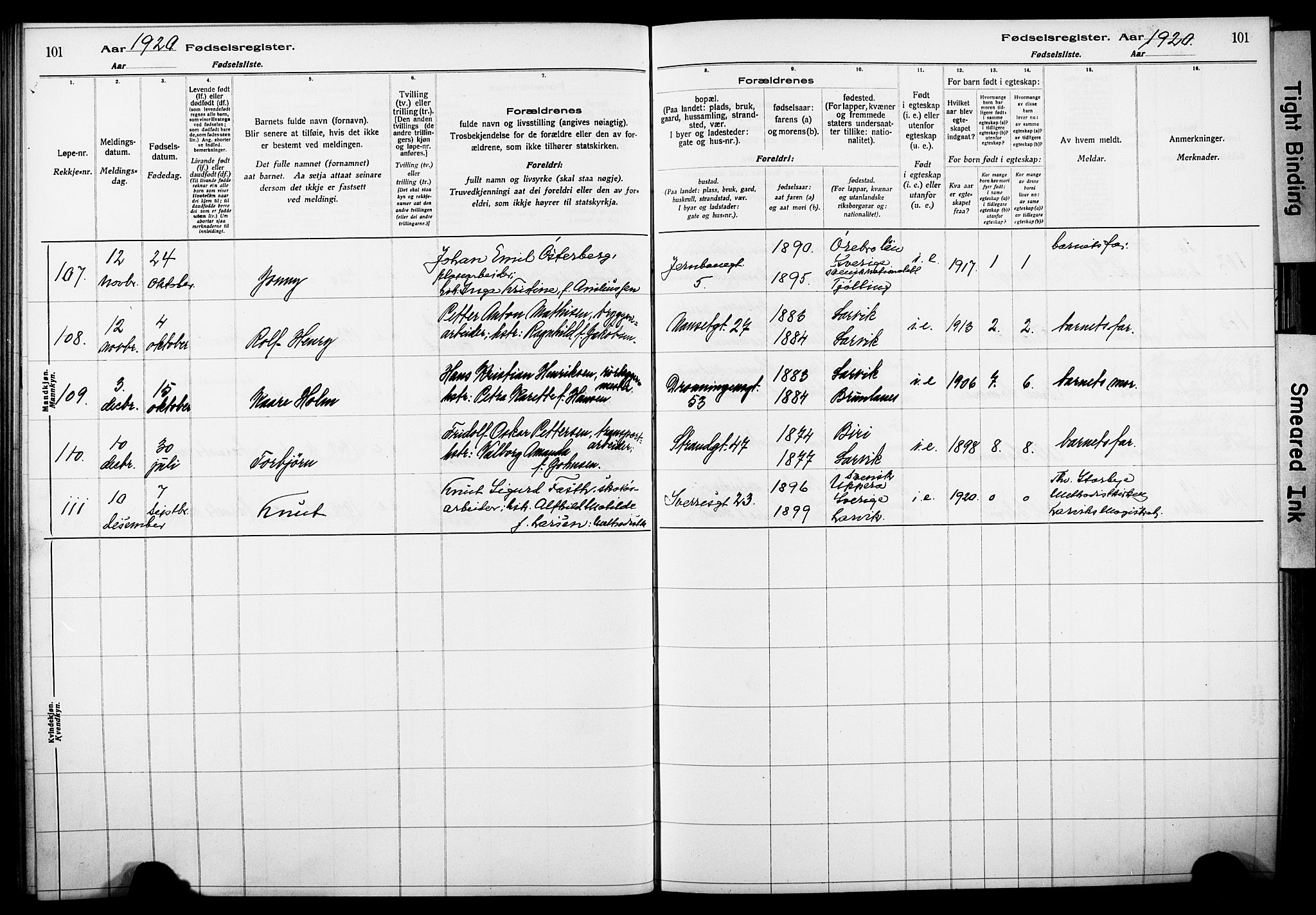 Larvik kirkebøker, AV/SAKO-A-352/J/Ja/L0001: Fødselsregister nr. I 1, 1916-1926, s. 101
