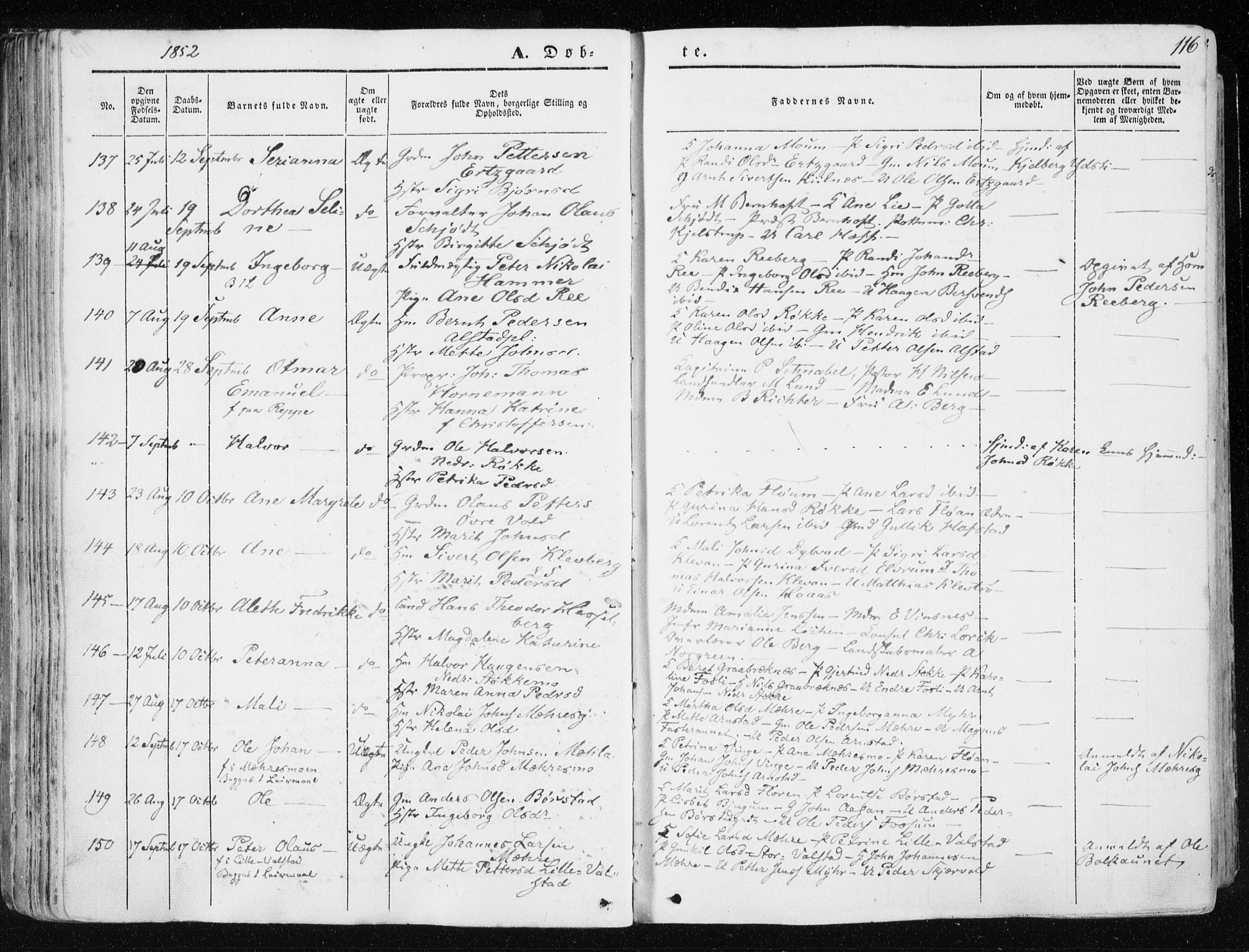 Ministerialprotokoller, klokkerbøker og fødselsregistre - Nord-Trøndelag, AV/SAT-A-1458/709/L0074: Ministerialbok nr. 709A14, 1845-1858, s. 116