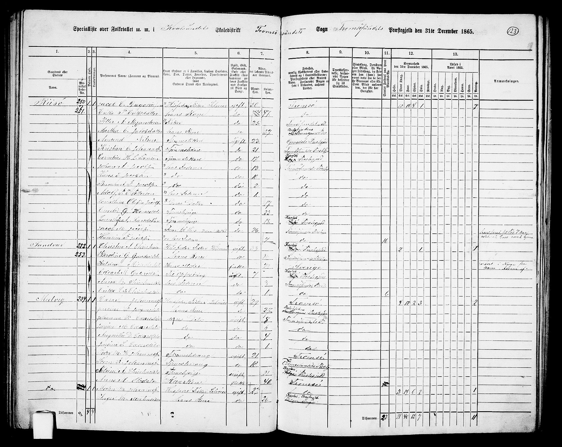 RA, Folketelling 1865 for 1934P Tromsøysund prestegjeld, 1865, s. 101