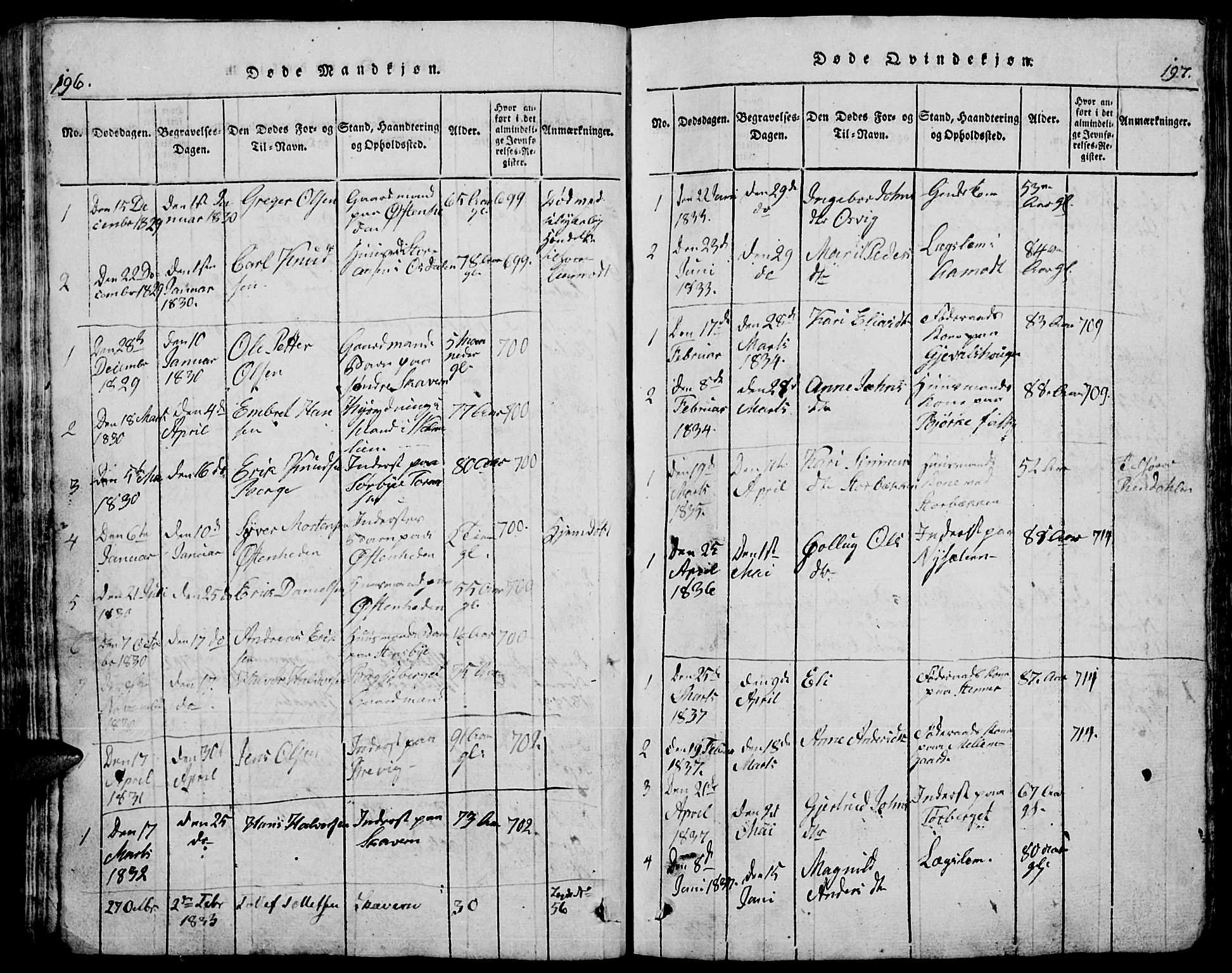 Trysil prestekontor, AV/SAH-PREST-046/H/Ha/Hab/L0005: Klokkerbok nr. 5, 1814-1877, s. 196-197