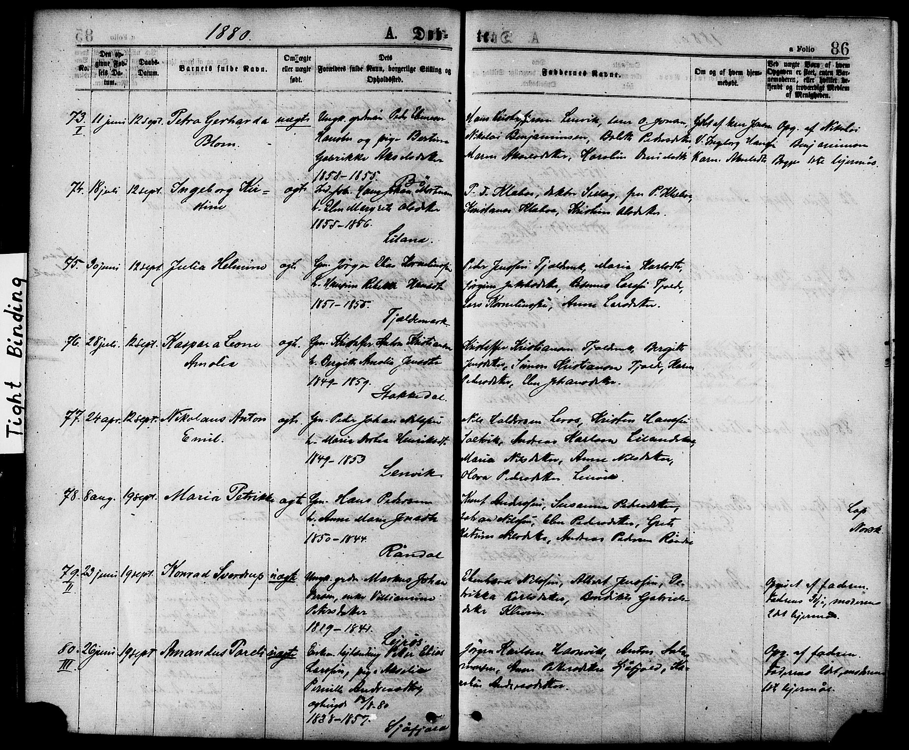 Ministerialprotokoller, klokkerbøker og fødselsregistre - Nordland, AV/SAT-A-1459/863/L0897: Ministerialbok nr. 863A09, 1872-1886, s. 86