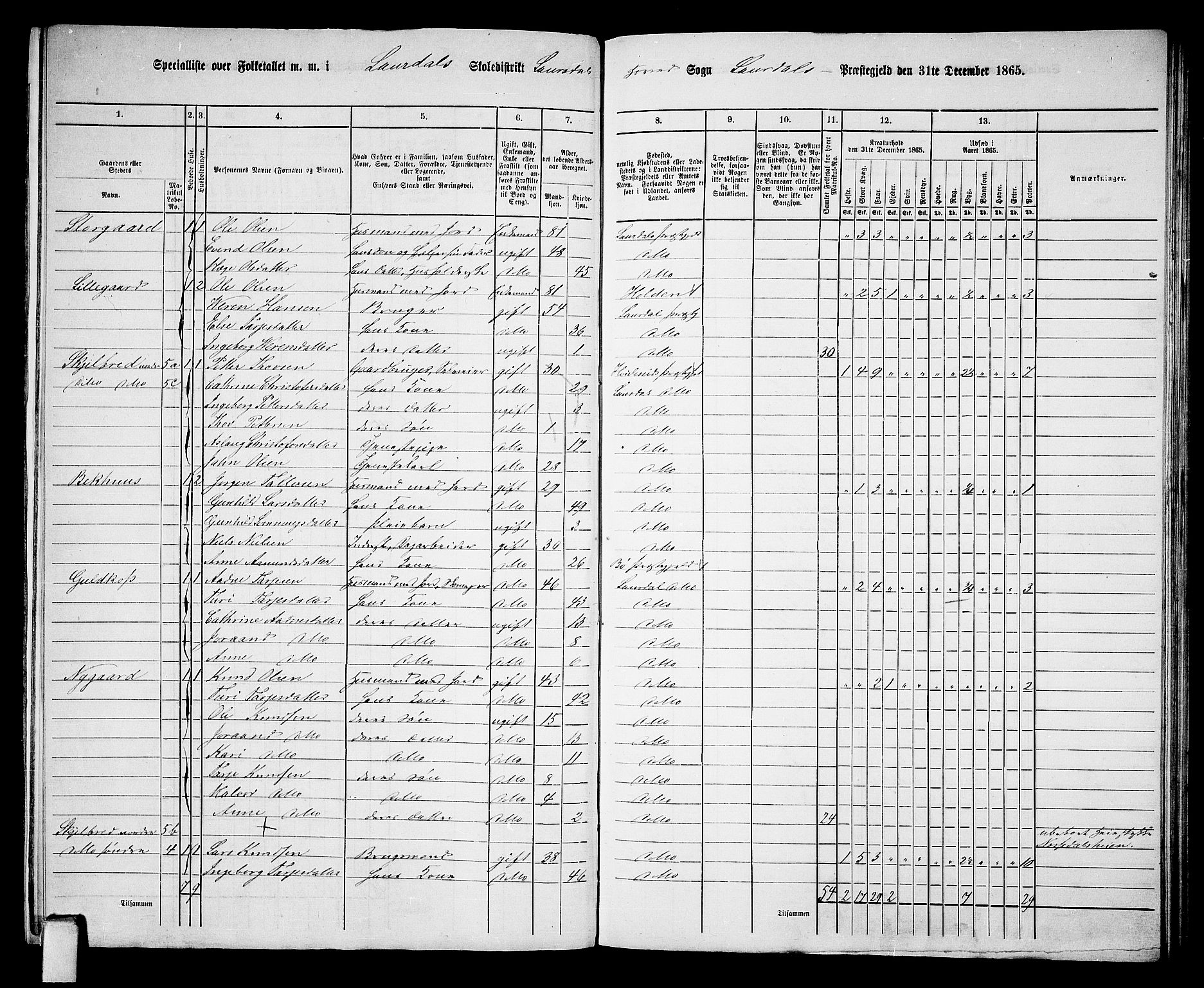 RA, Folketelling 1865 for 0833P Lårdal prestegjeld, 1865, s. 9