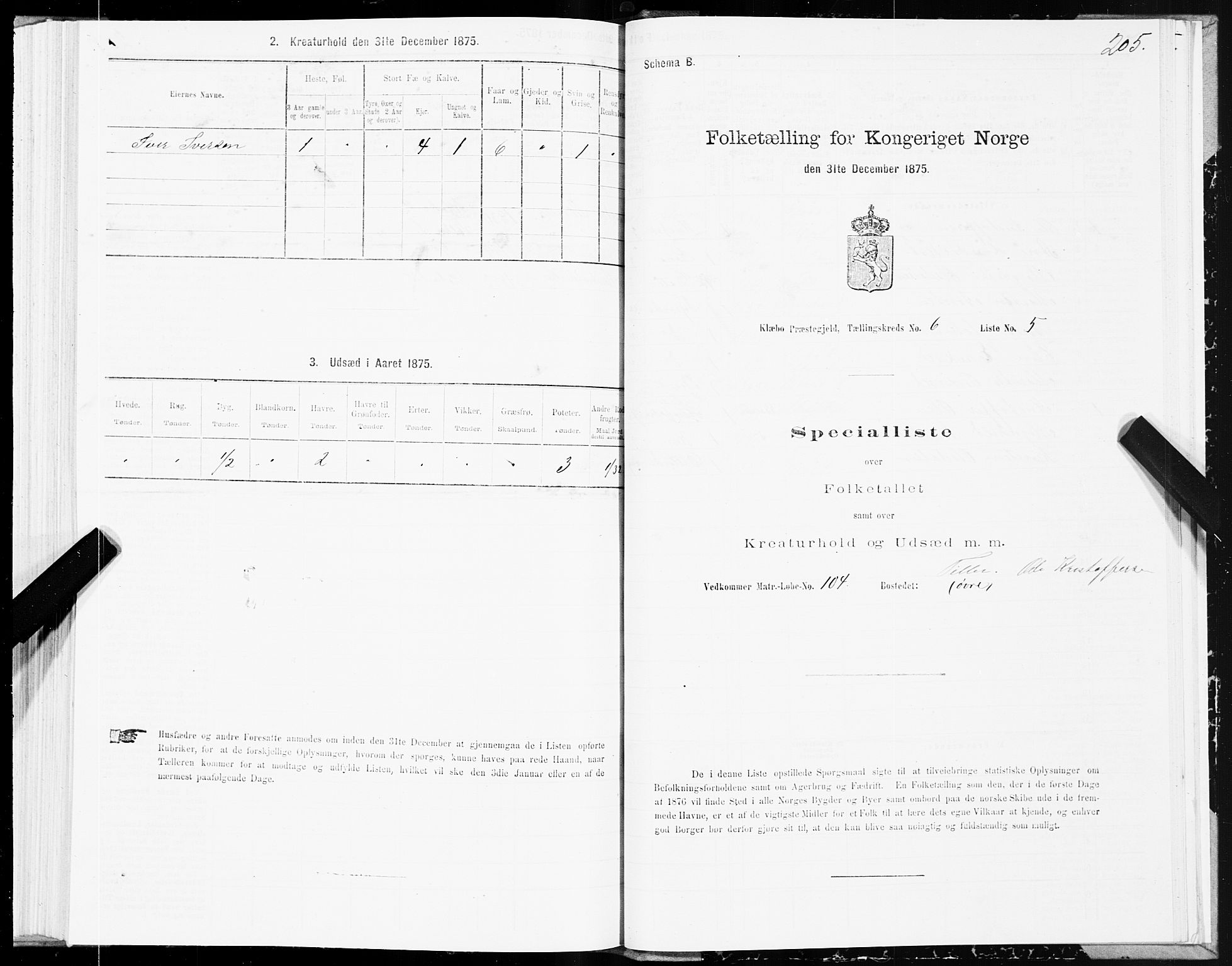 SAT, Folketelling 1875 for 1662P Klæbu prestegjeld, 1875, s. 2205