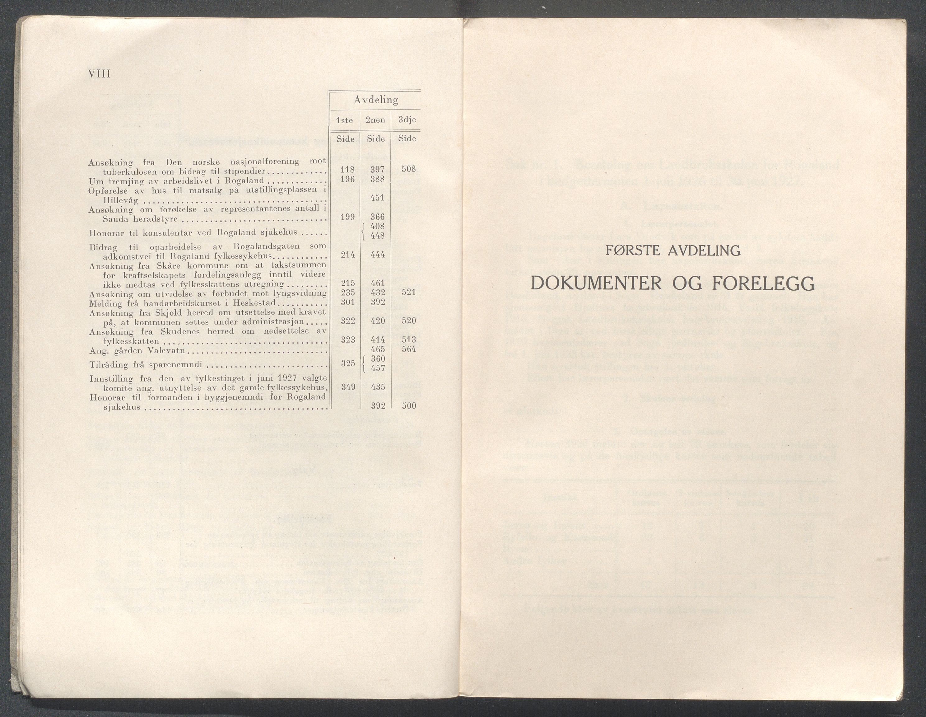 Rogaland fylkeskommune - Fylkesrådmannen , IKAR/A-900/A/Aa/Aaa/L0047: Møtebok , 1928, s. VIII-1