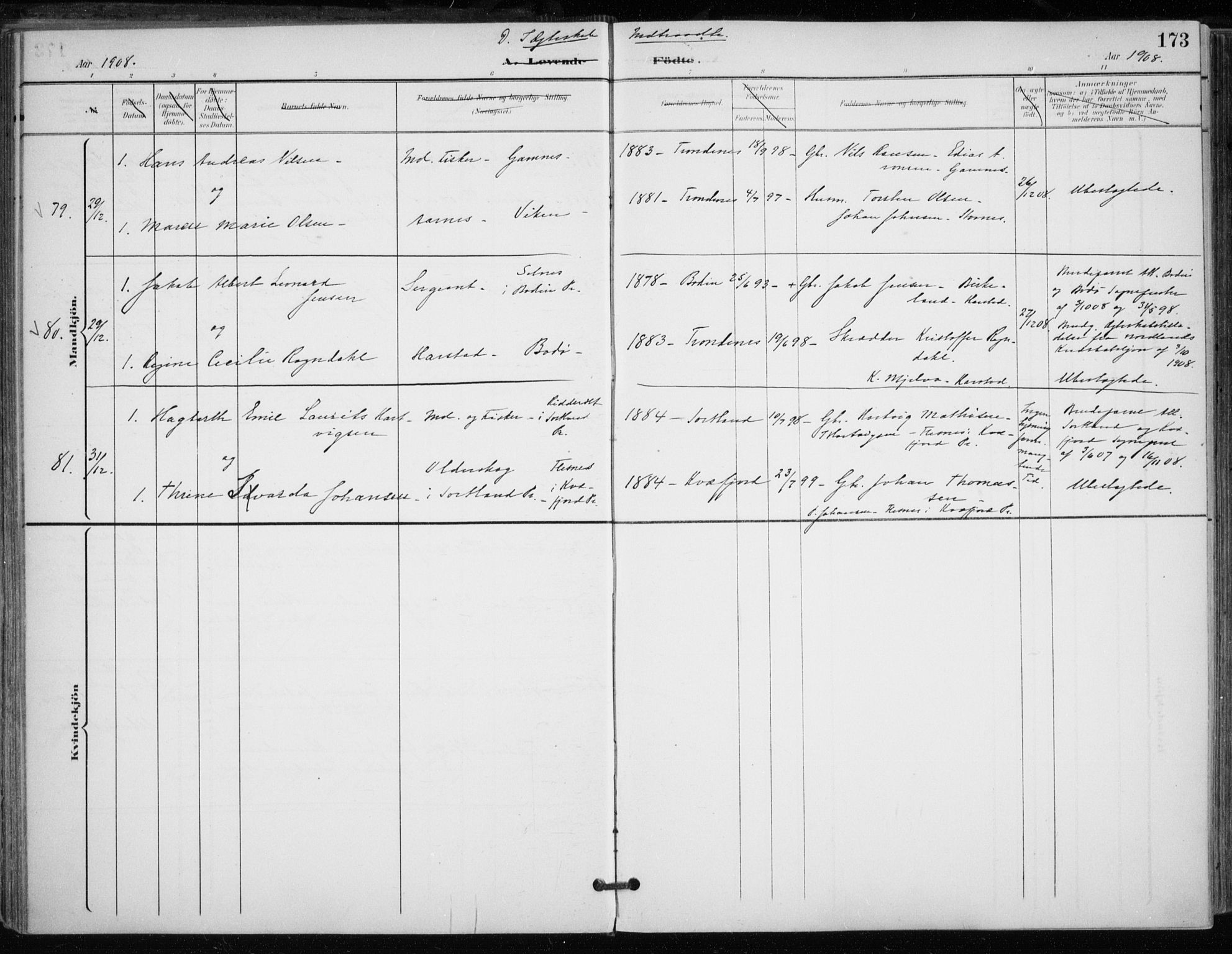 Trondenes sokneprestkontor, AV/SATØ-S-1319/H/Ha/L0017kirke: Ministerialbok nr. 17, 1899-1908, s. 173