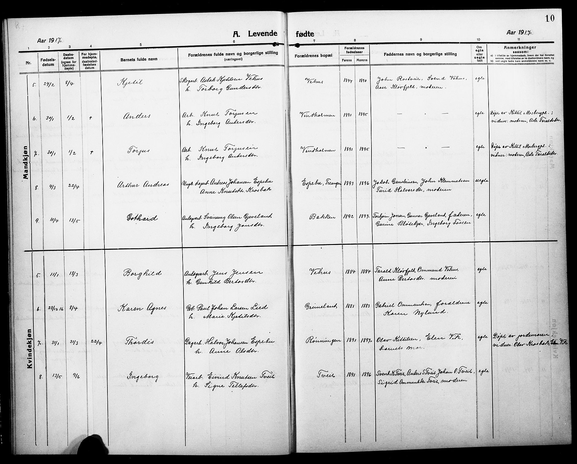 Åmli sokneprestkontor, AV/SAK-1111-0050/F/Fb/Fbc/L0006: Klokkerbok nr. B 6, 1915-1929, s. 10